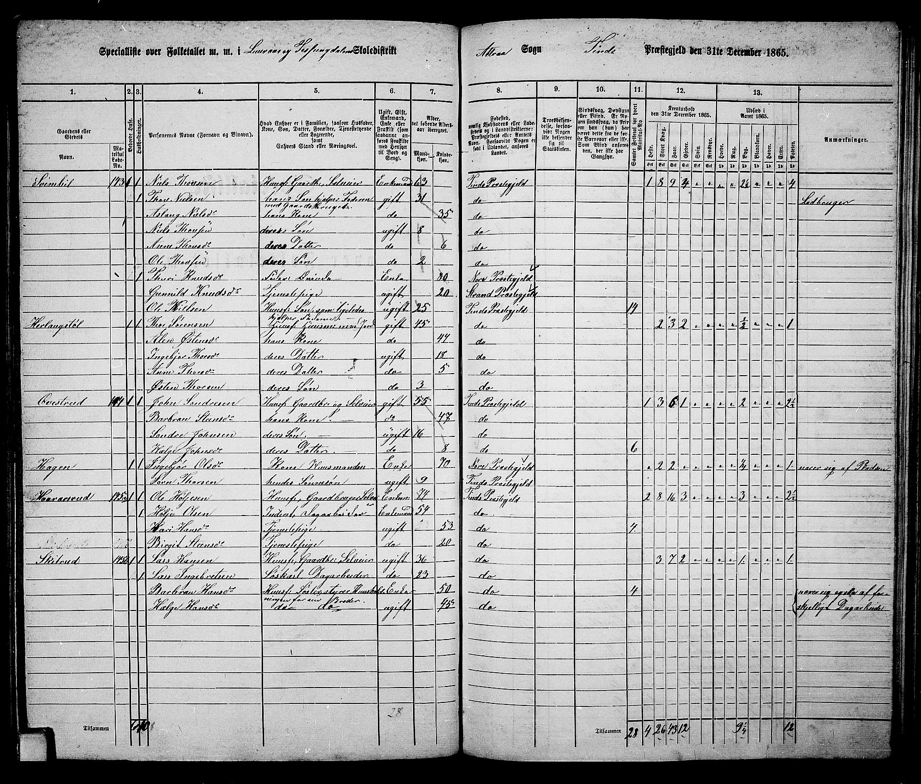 RA, 1865 census for Tinn, 1865, p. 32