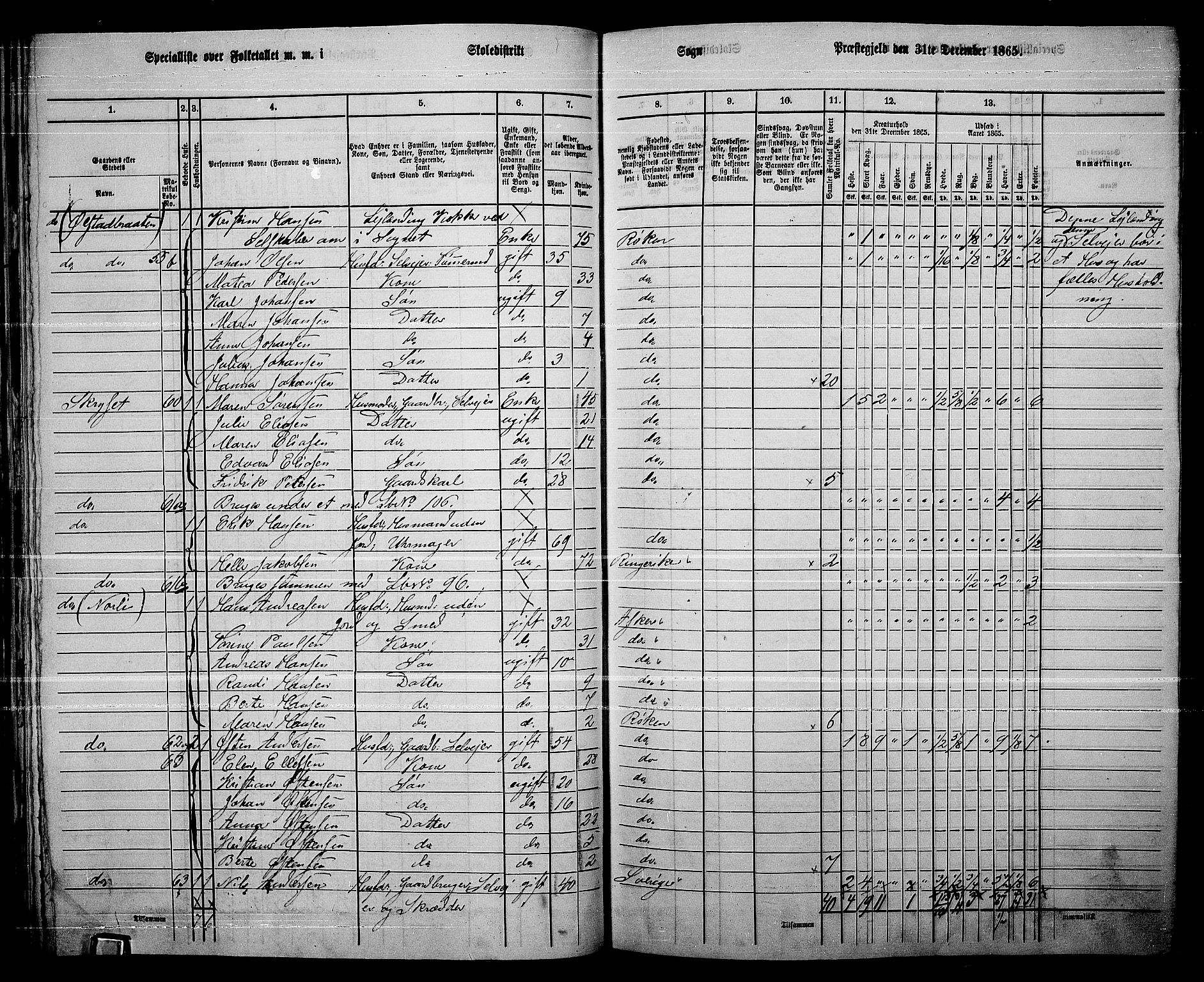 RA, 1865 census for Røyken, 1865, p. 68