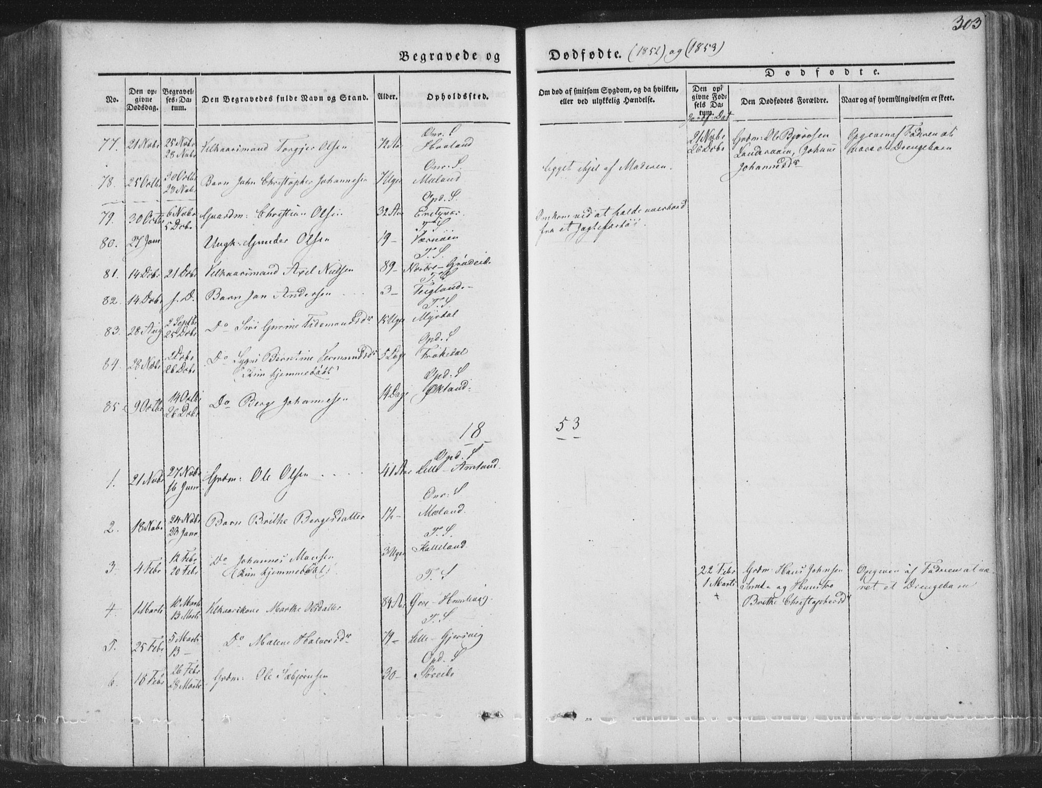 Tysnes sokneprestembete, AV/SAB-A-78601/H/Haa: Parish register (official) no. A 10, 1848-1859, p. 303