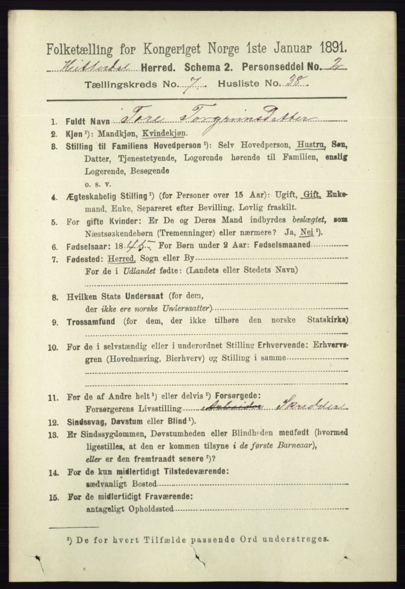 RA, 1891 census for 0823 Heddal, 1891, p. 3227