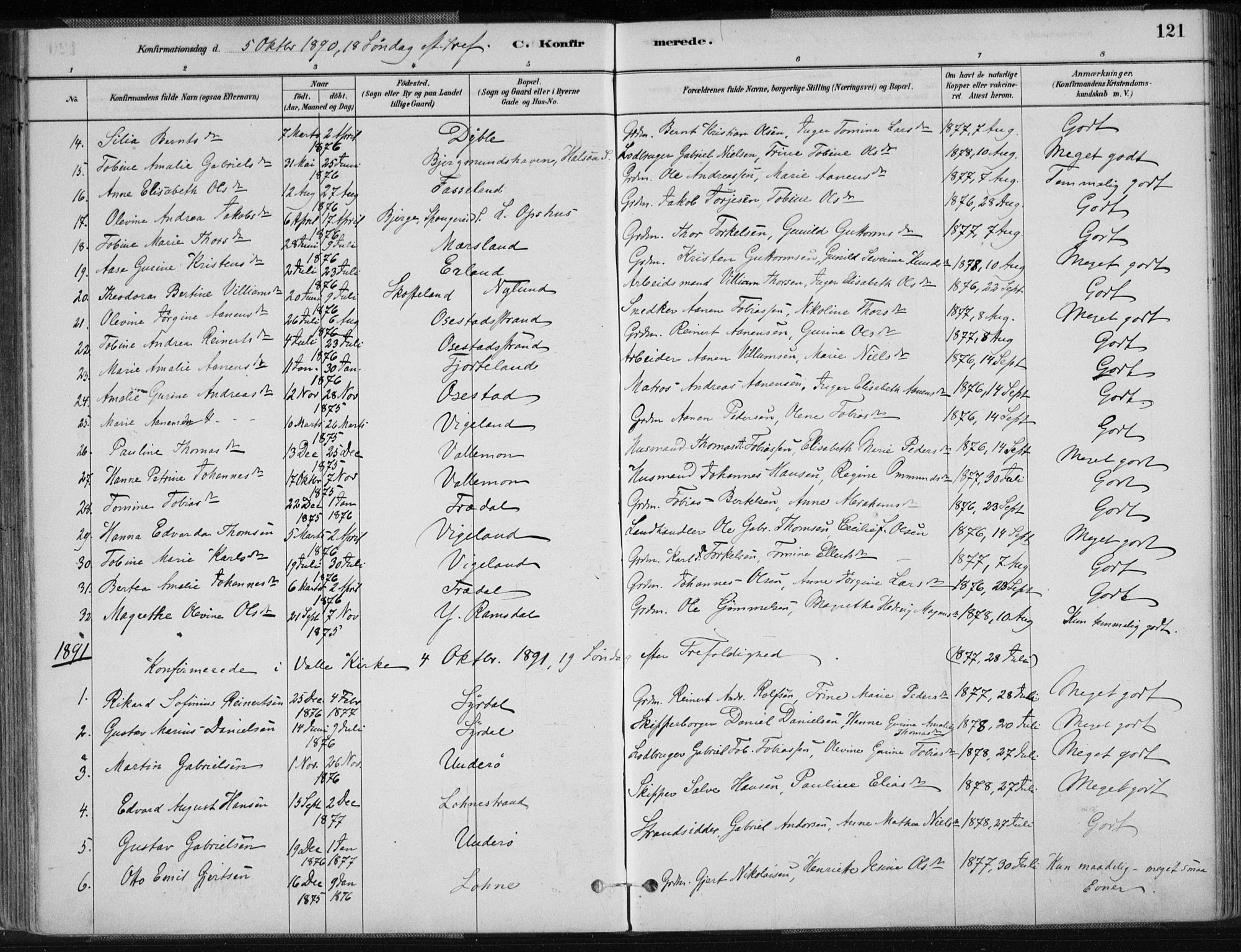 Sør-Audnedal sokneprestkontor, AV/SAK-1111-0039/F/Fa/Fab/L0009: Parish register (official) no. A 9, 1880-1895, p. 121