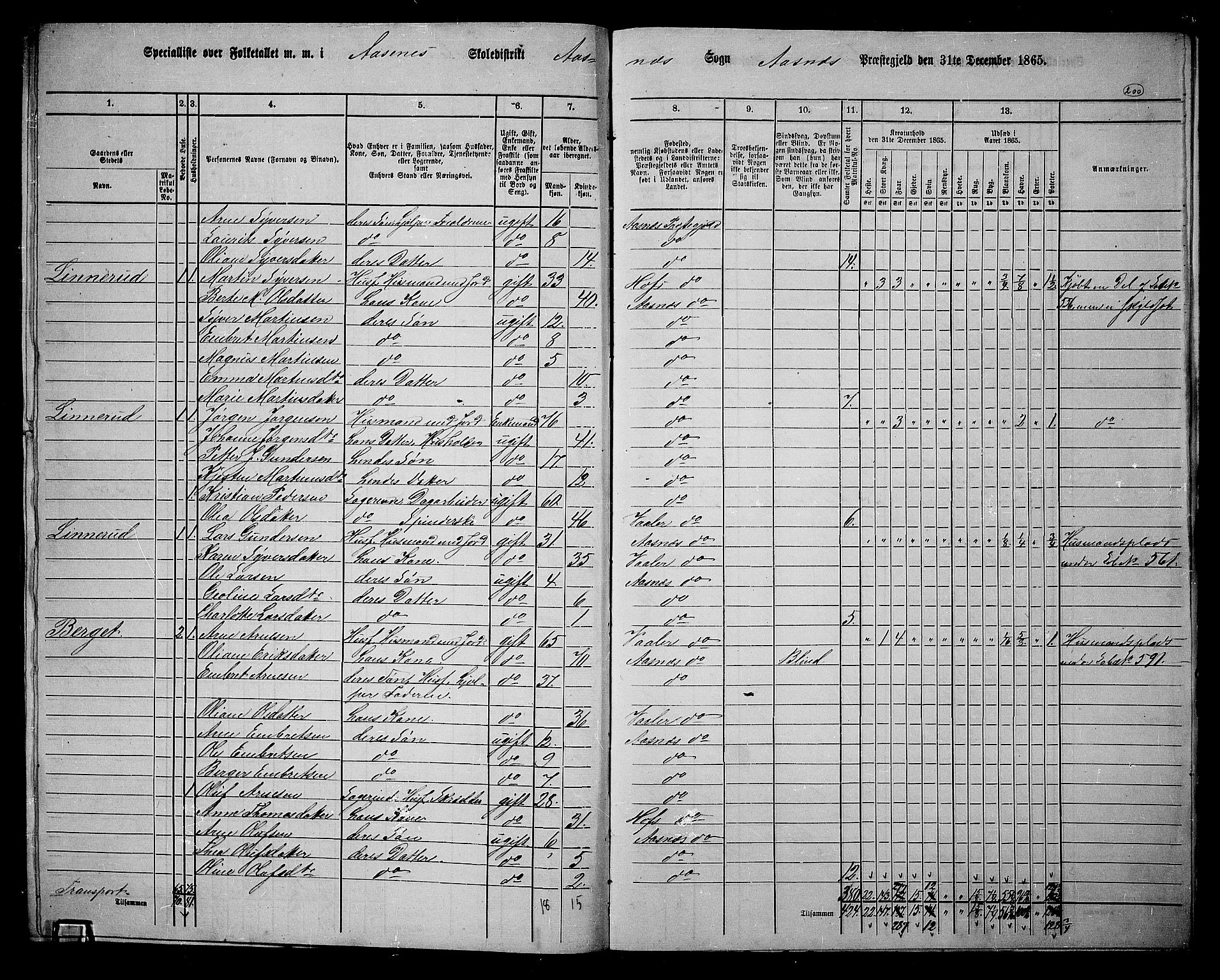 RA, 1865 census for Åsnes, 1865, p. 184