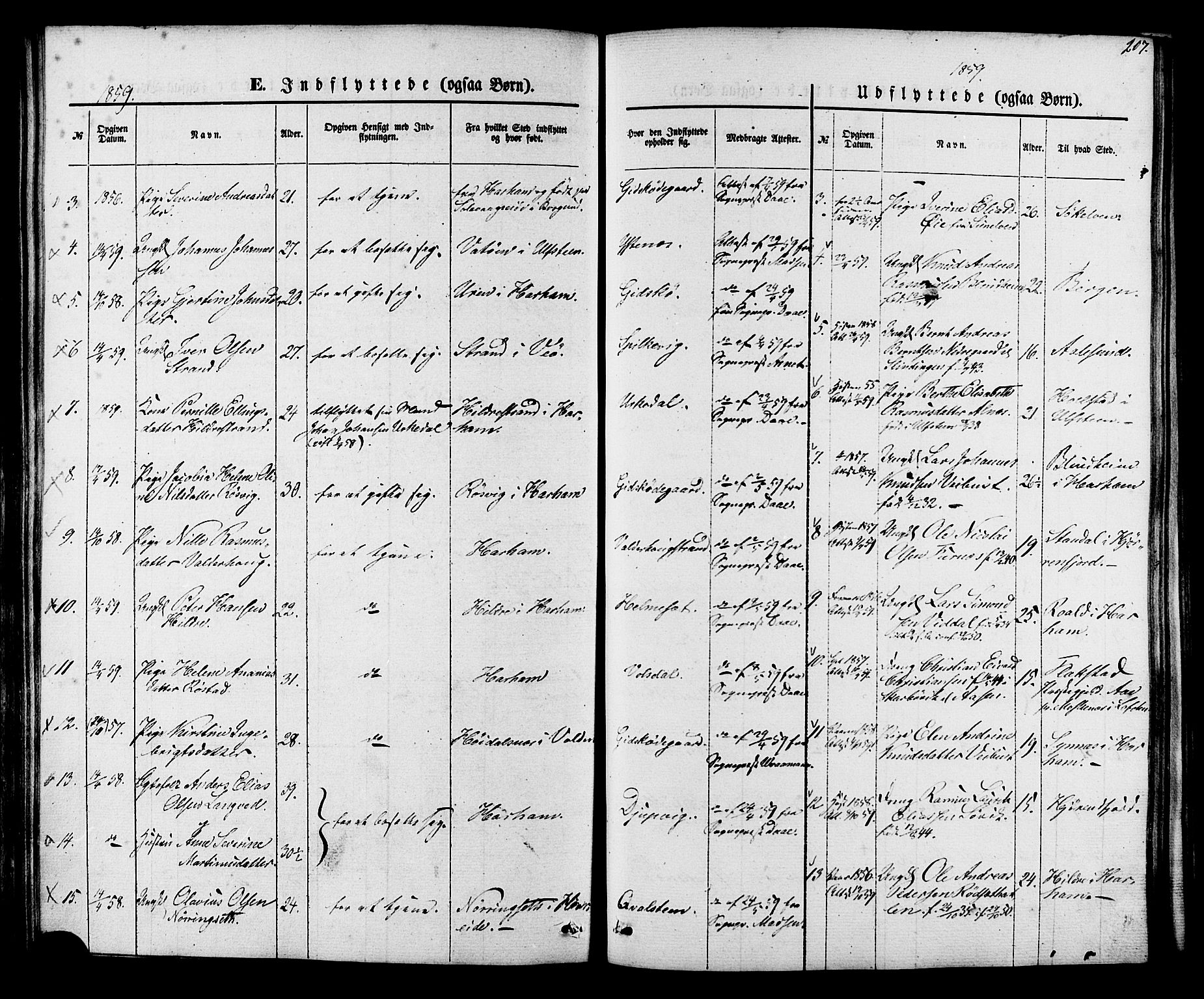 Ministerialprotokoller, klokkerbøker og fødselsregistre - Møre og Romsdal, AV/SAT-A-1454/528/L0398: Parish register (official) no. 528A09, 1858-1864, p. 207