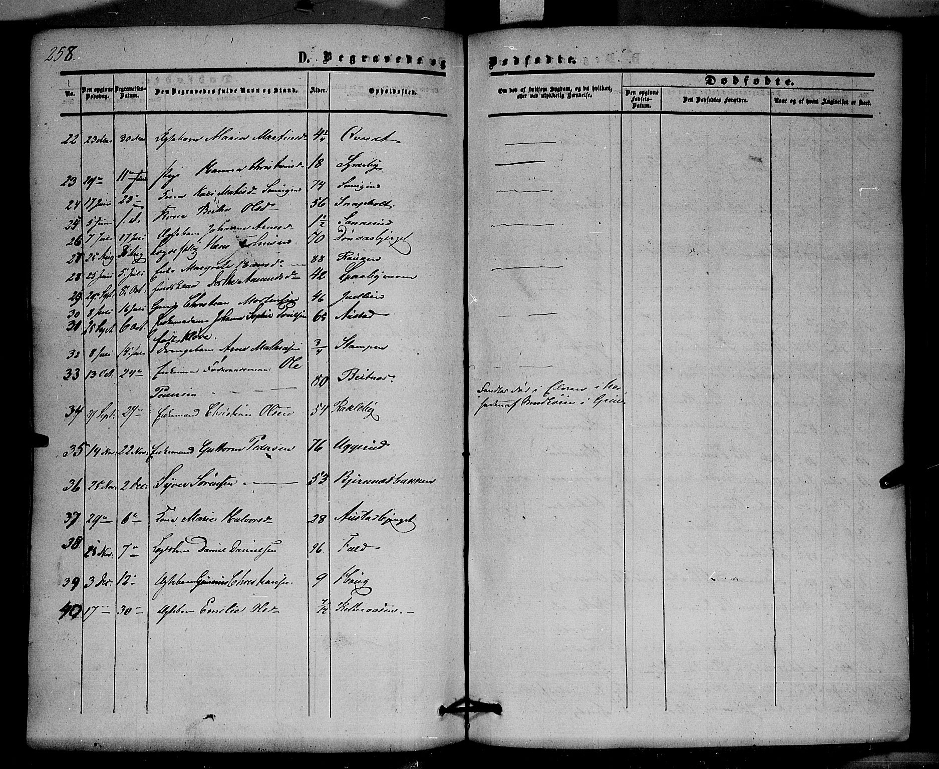 Hof prestekontor, SAH/PREST-038/H/Ha/Haa/L0008: Parish register (official) no. 8, 1849-1861, p. 258