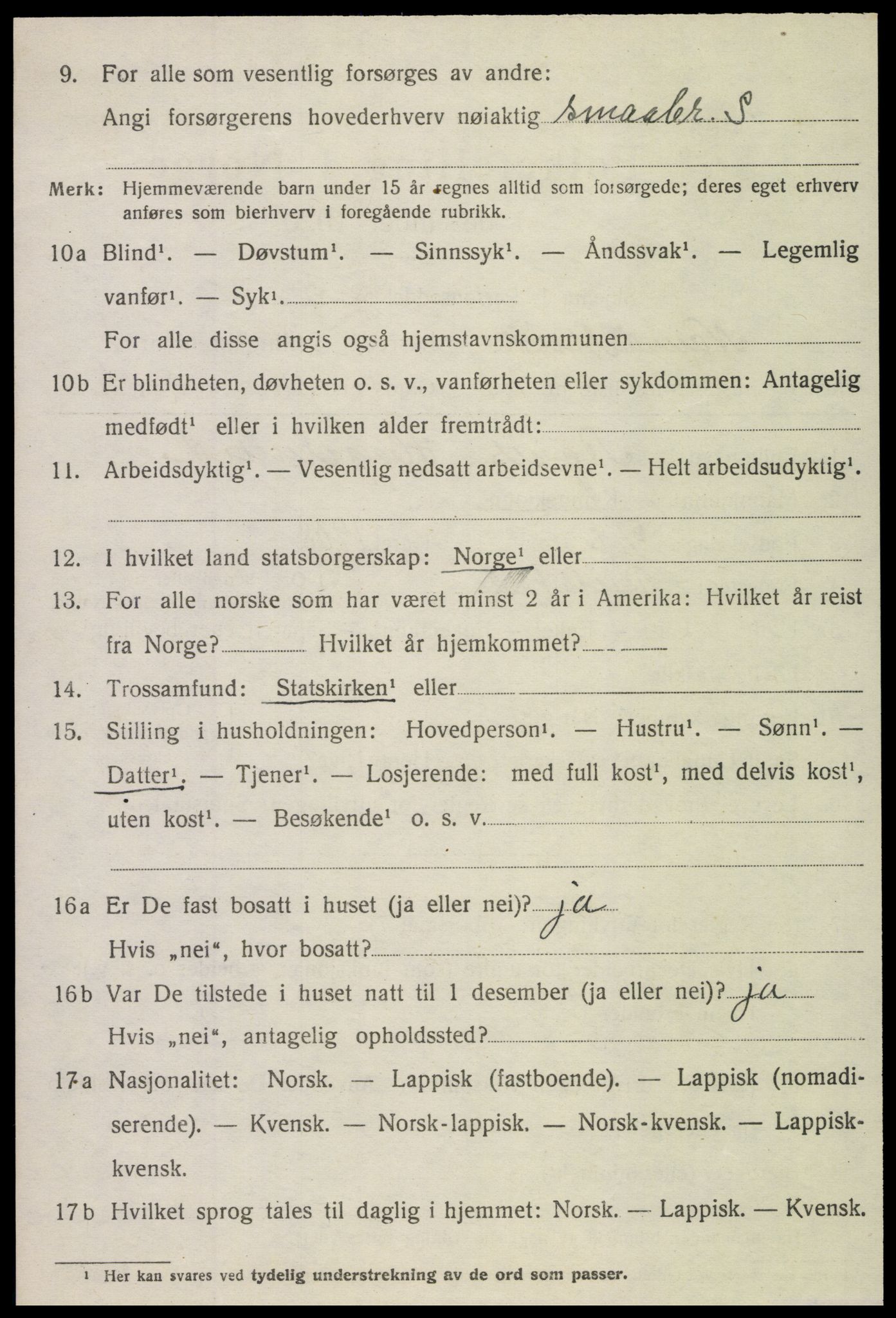 SAT, 1920 census for Namdalseid, 1920, p. 1343