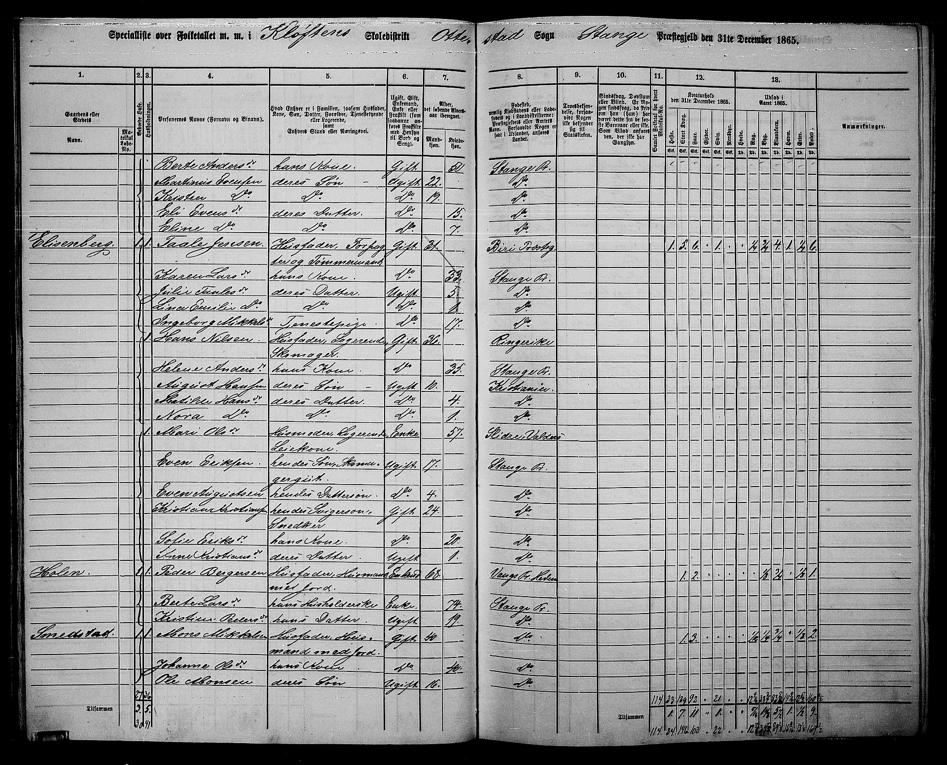 RA, 1865 census for Stange, 1865, p. 41