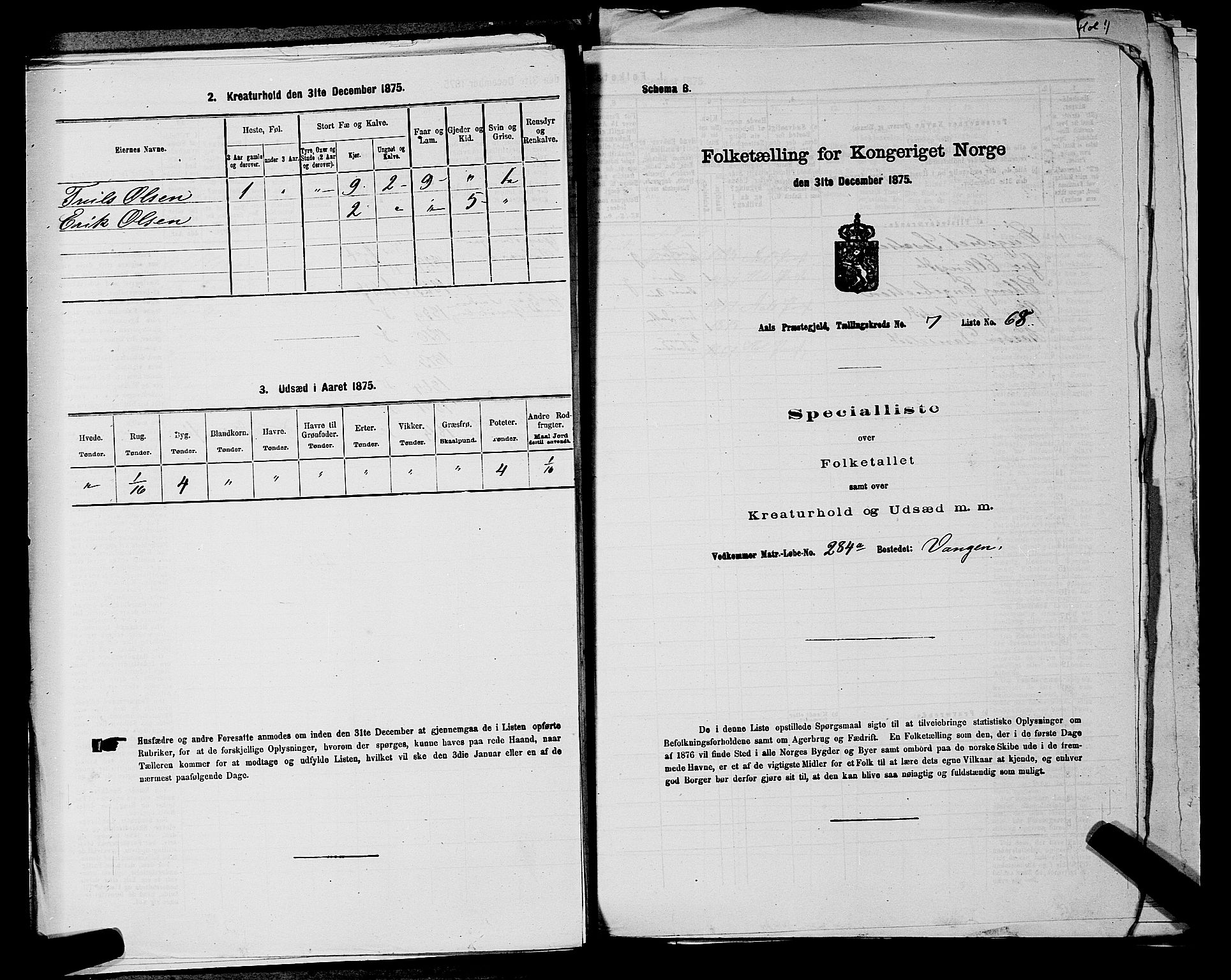 SAKO, 1875 census for 0619P Ål, 1875, p. 972