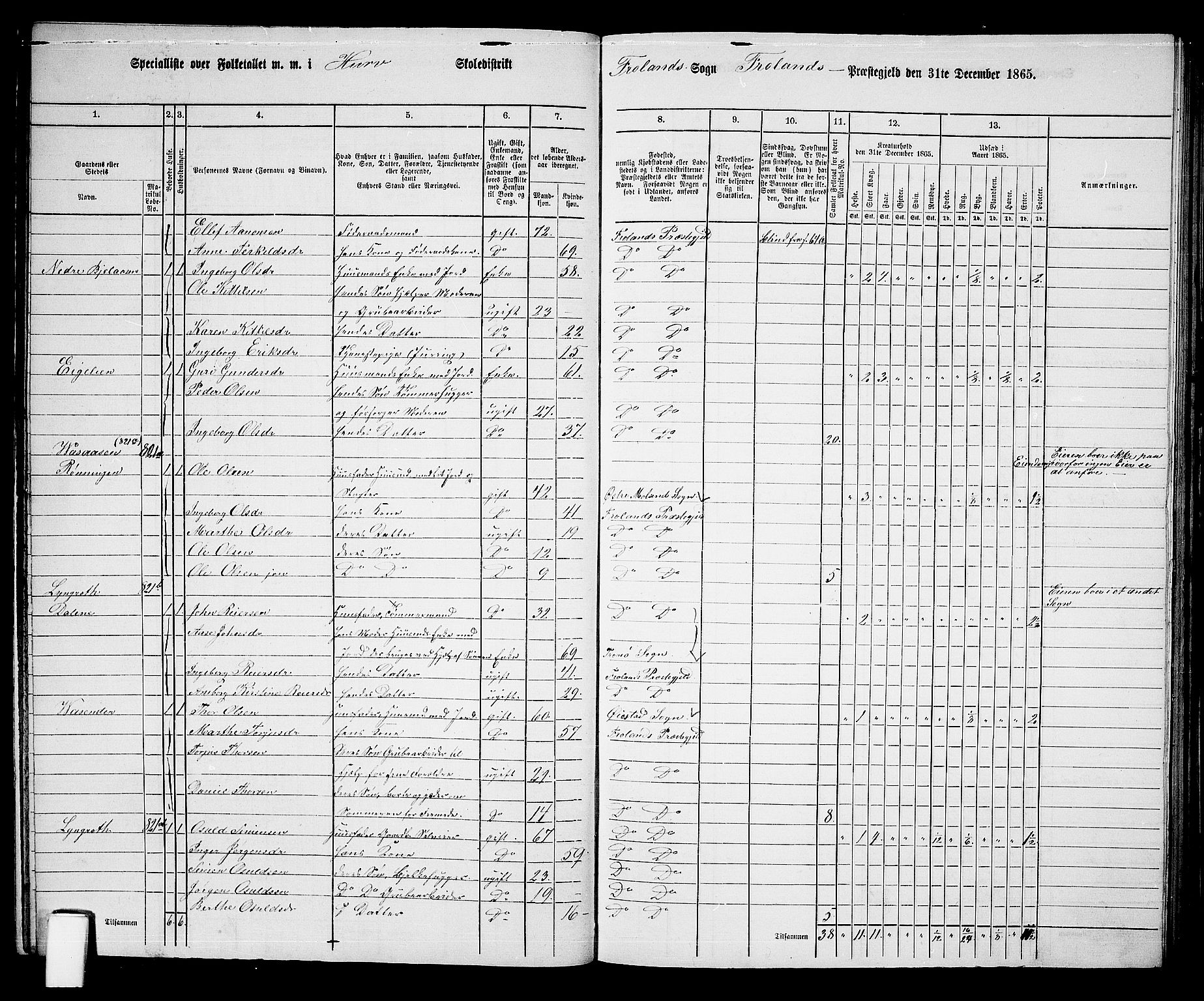 RA, 1865 census for Froland, 1865, p. 21