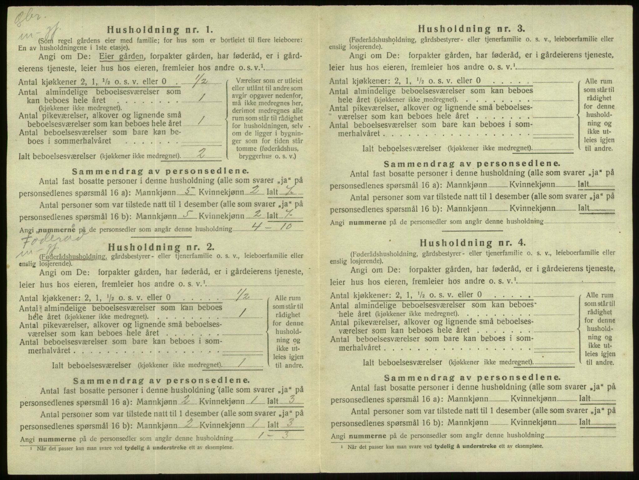 SAB, 1920 census for Hornindal, 1920, p. 215