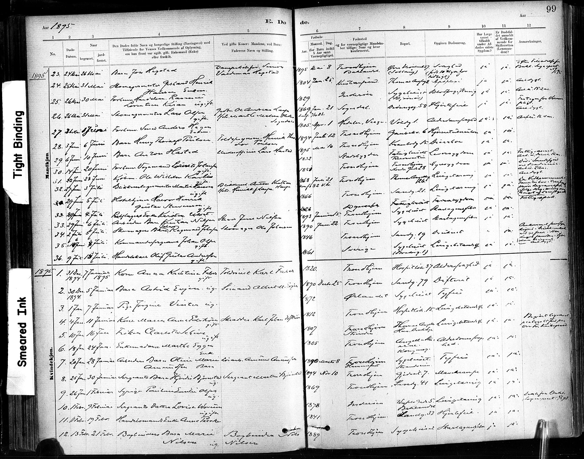 Ministerialprotokoller, klokkerbøker og fødselsregistre - Sør-Trøndelag, AV/SAT-A-1456/602/L0120: Parish register (official) no. 602A18, 1880-1913, p. 99