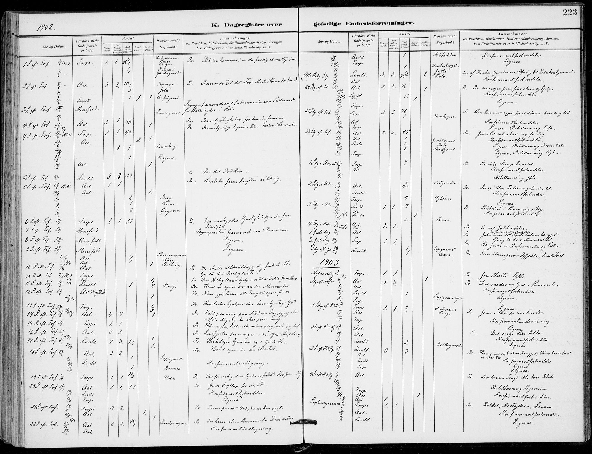 Ål kirkebøker, SAKO/A-249/F/Fa/L0009: Parish register (official) no. I 9, 1897-1915, p. 223