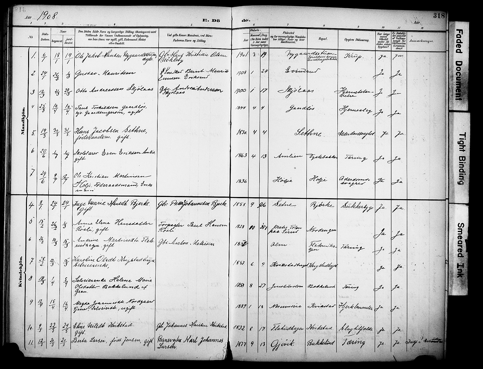 Vestre Toten prestekontor, SAH/PREST-108/H/Ha/Haa/L0013: Parish register (official) no. 13, 1895-1911, p. 318