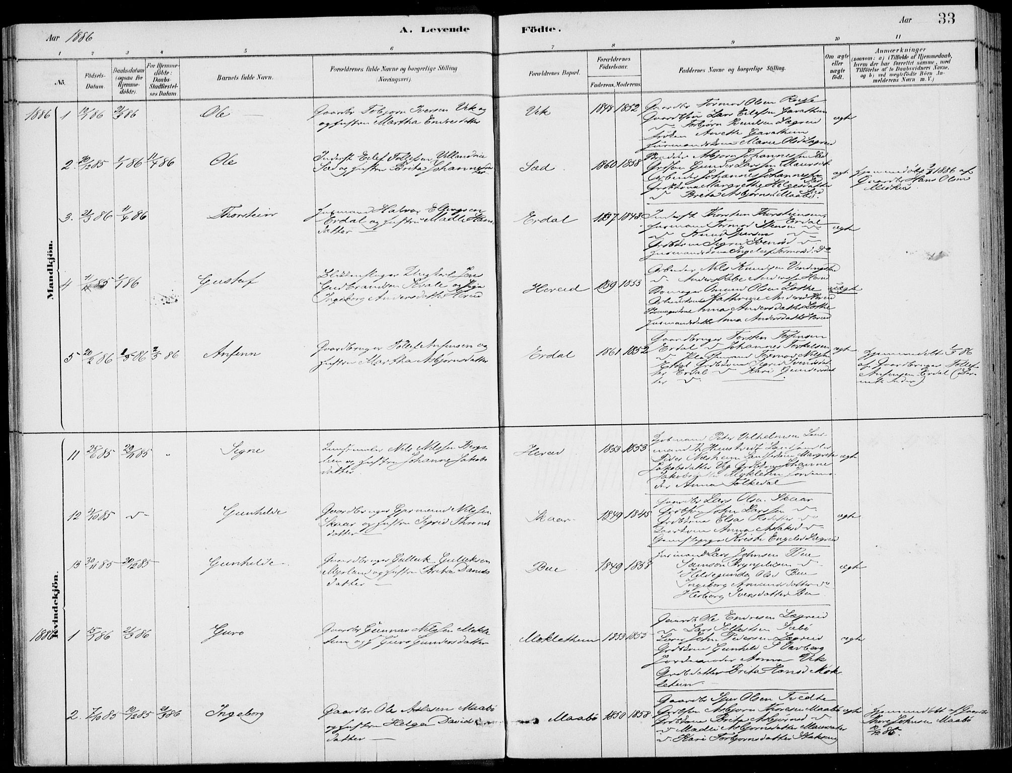 Ulvik sokneprestembete, AV/SAB-A-78801/H/Haa: Parish register (official) no. D  1, 1878-1903, p. 33