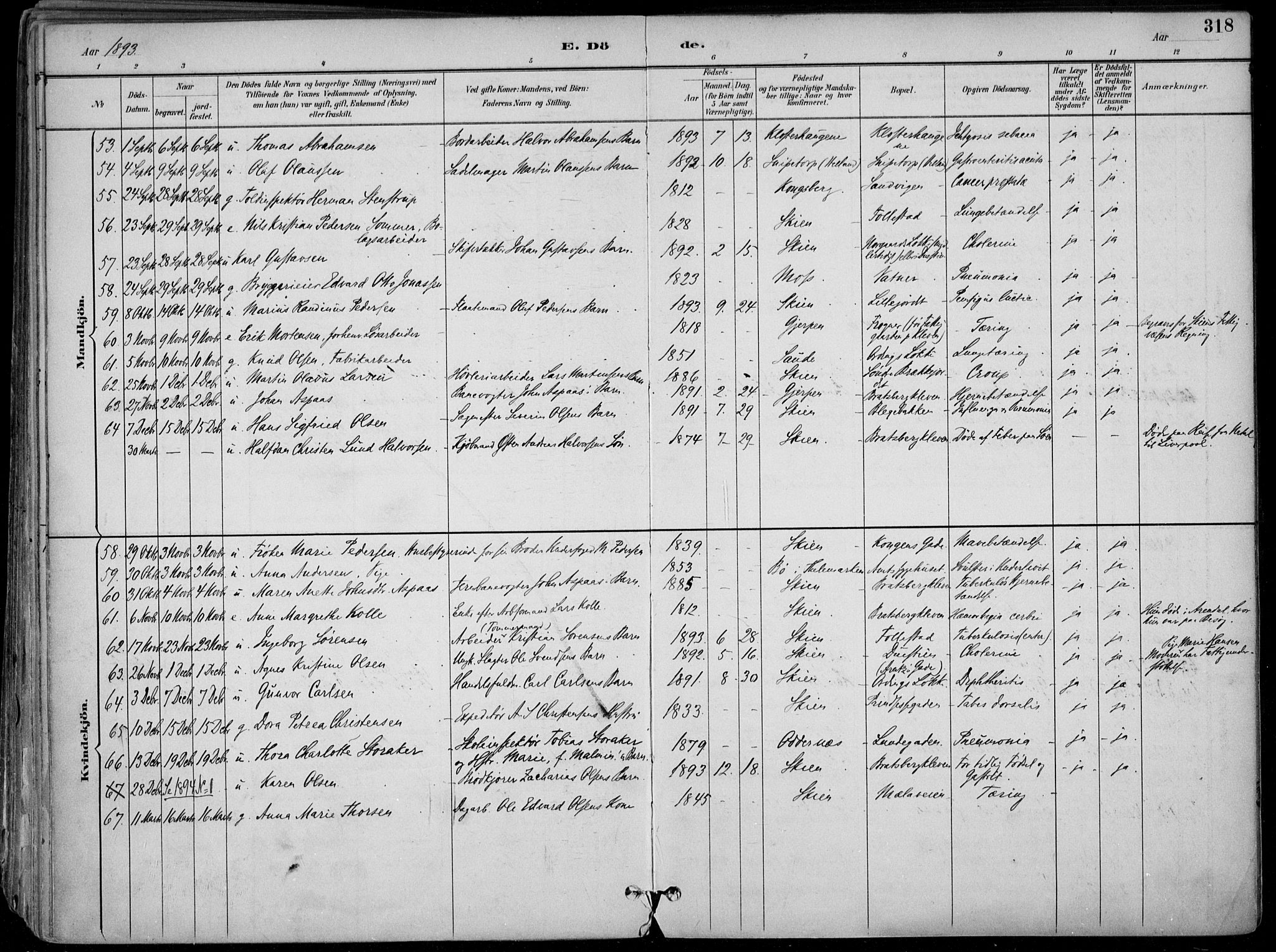 Skien kirkebøker, SAKO/A-302/F/Fa/L0010: Parish register (official) no. 10, 1891-1899, p. 318