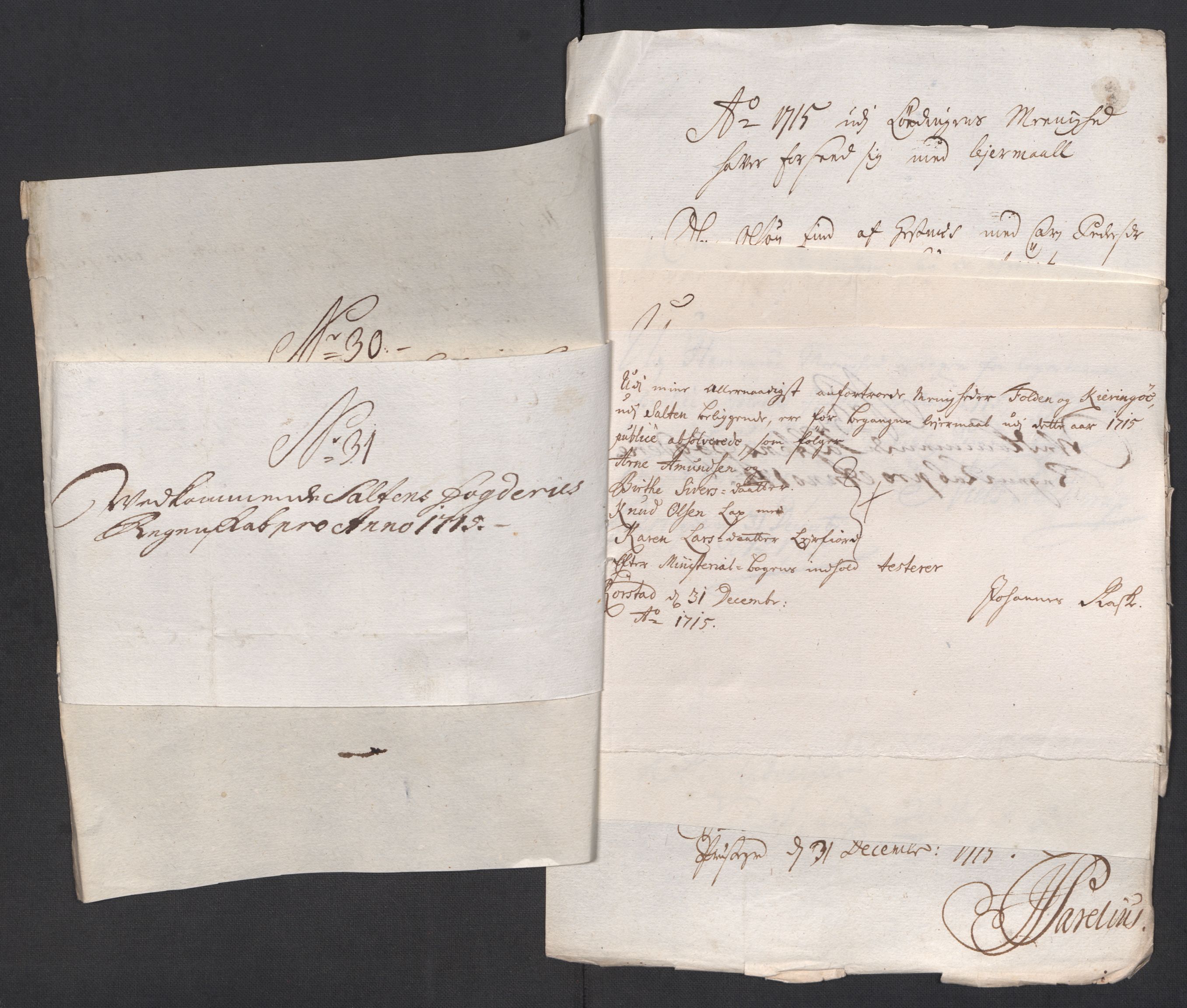 Rentekammeret inntil 1814, Reviderte regnskaper, Fogderegnskap, AV/RA-EA-4092/R66/L4585: Fogderegnskap Salten, 1715, p. 292