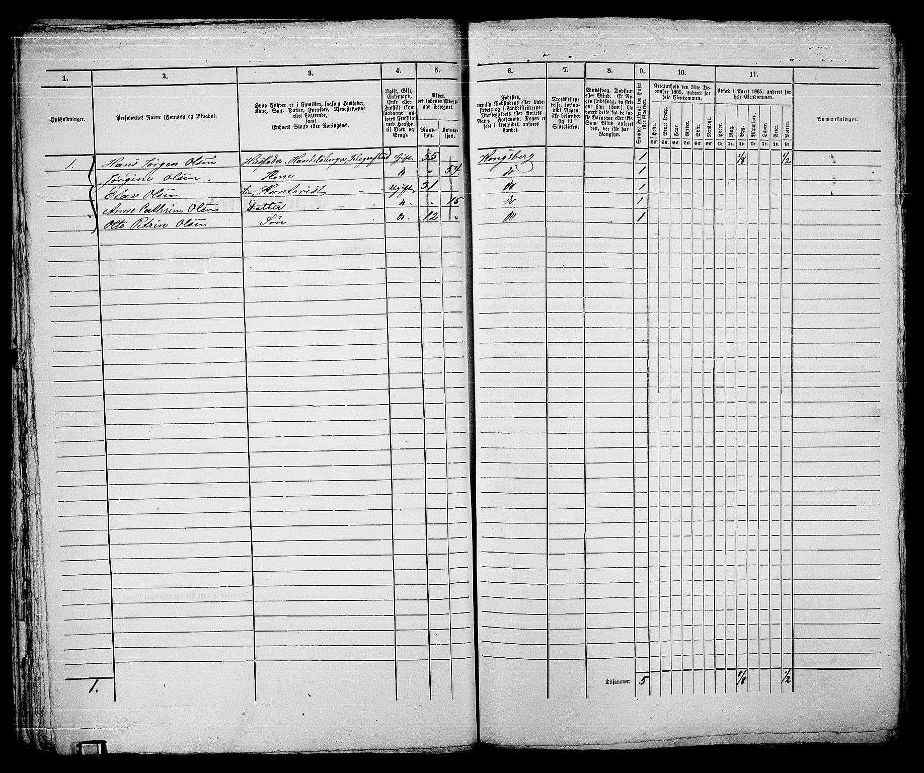 RA, 1865 census for Kongsberg/Kongsberg, 1865, p. 551