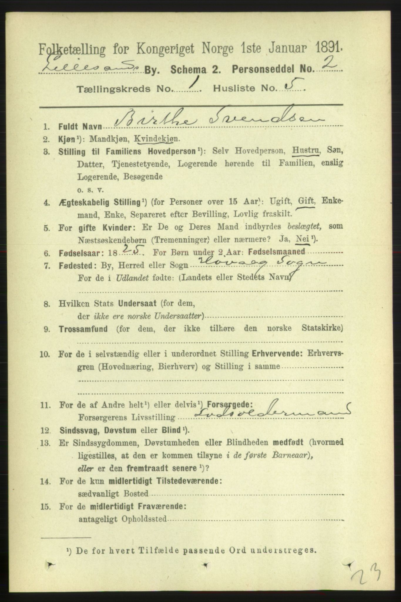 RA, 1891 census for 0905 Lillesand, 1891, p. 43