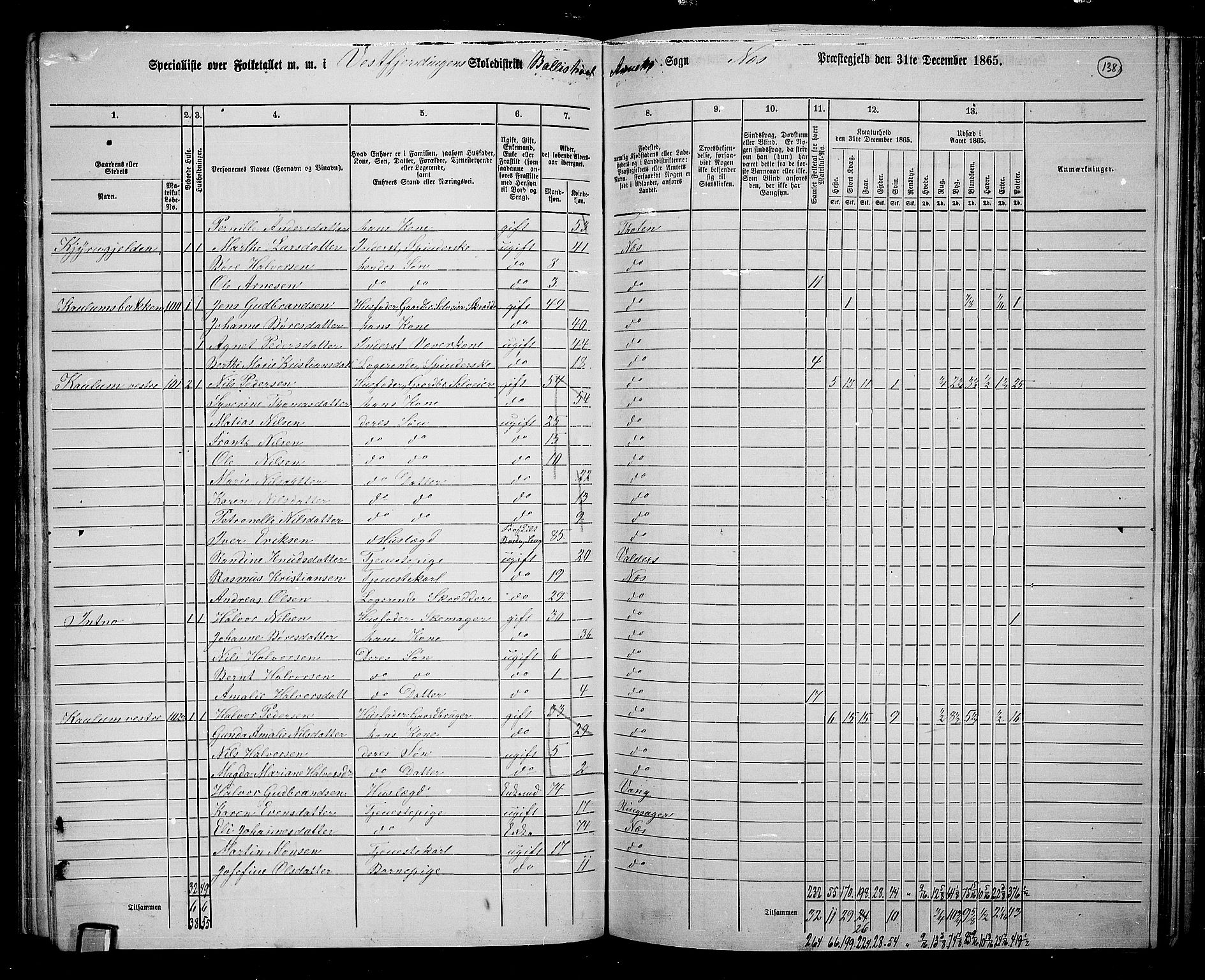 RA, 1865 census for Nes, 1865, p. 118