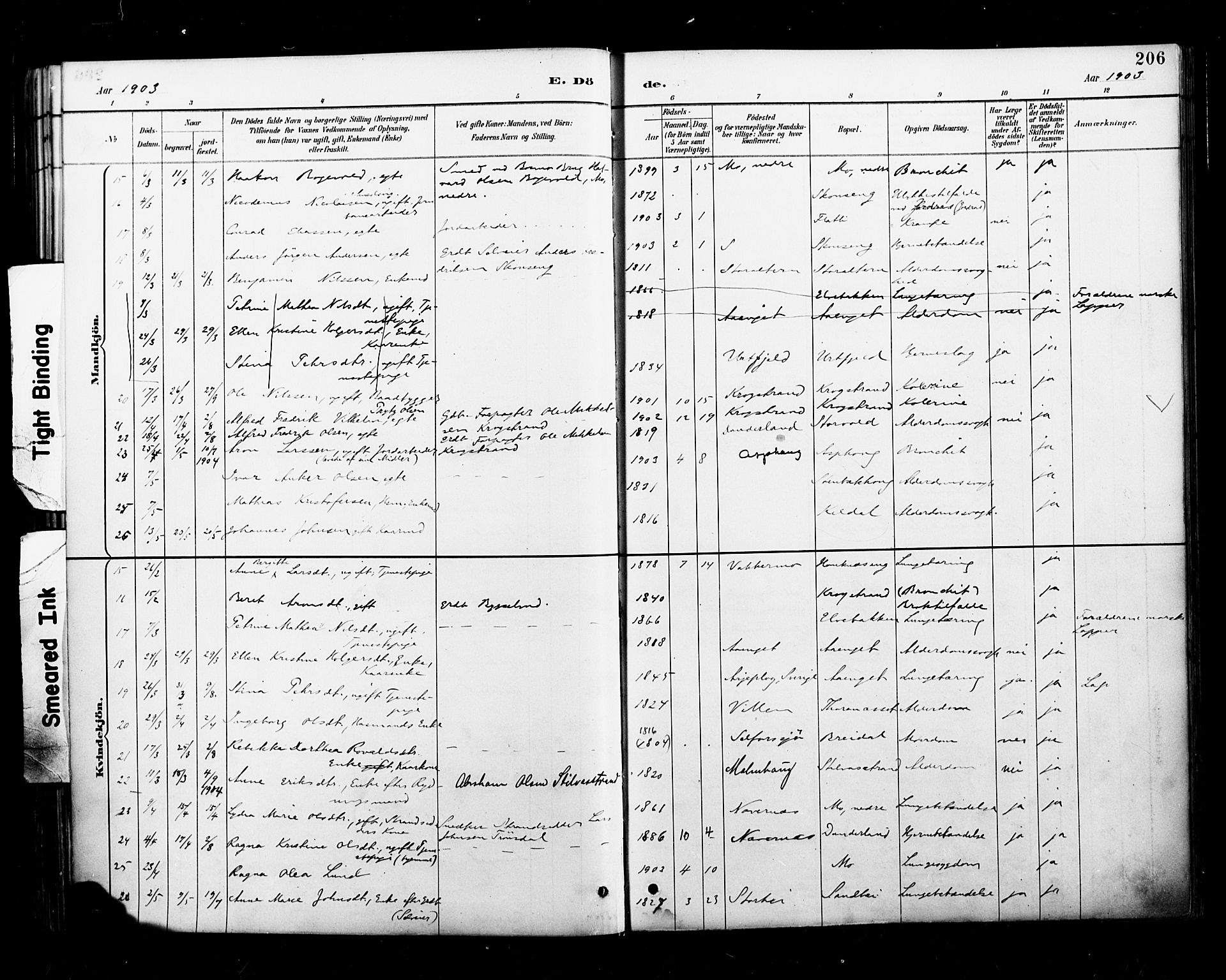 Ministerialprotokoller, klokkerbøker og fødselsregistre - Nordland, SAT/A-1459/827/L0401: Parish register (official) no. 827A13, 1887-1905, p. 206