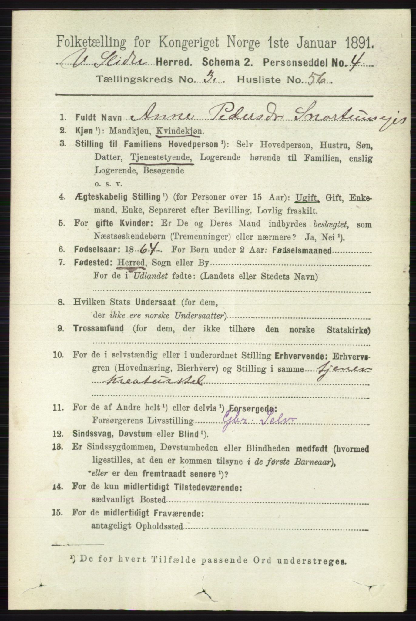 RA, 1891 census for 0543 Vestre Slidre, 1891, p. 1169