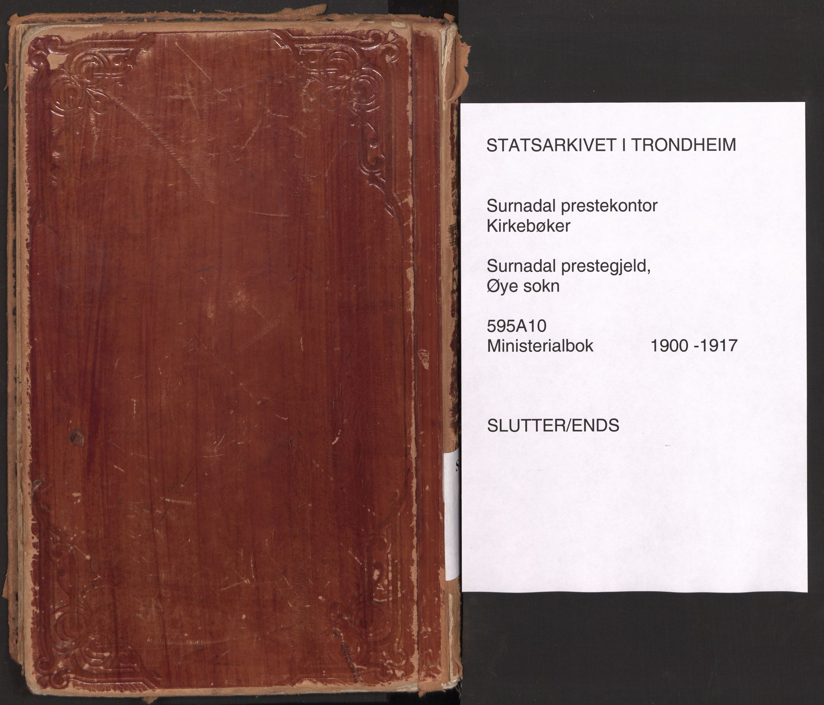 Ministerialprotokoller, klokkerbøker og fødselsregistre - Møre og Romsdal, AV/SAT-A-1454/595/L1048: Parish register (official) no. 595A10, 1900-1917