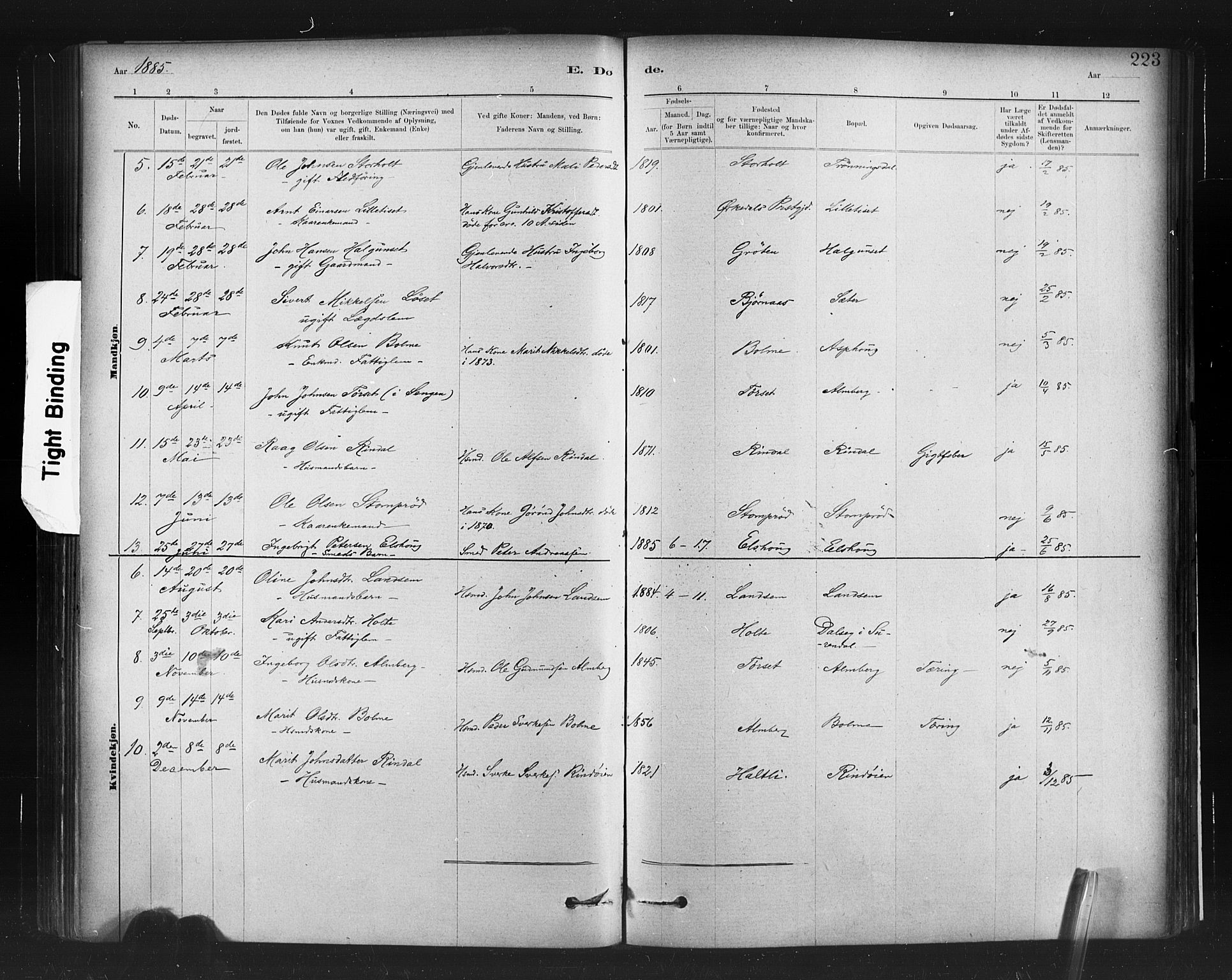 Ministerialprotokoller, klokkerbøker og fødselsregistre - Møre og Romsdal, AV/SAT-A-1454/598/L1069: Parish register (official) no. 598A03, 1882-1895, p. 223