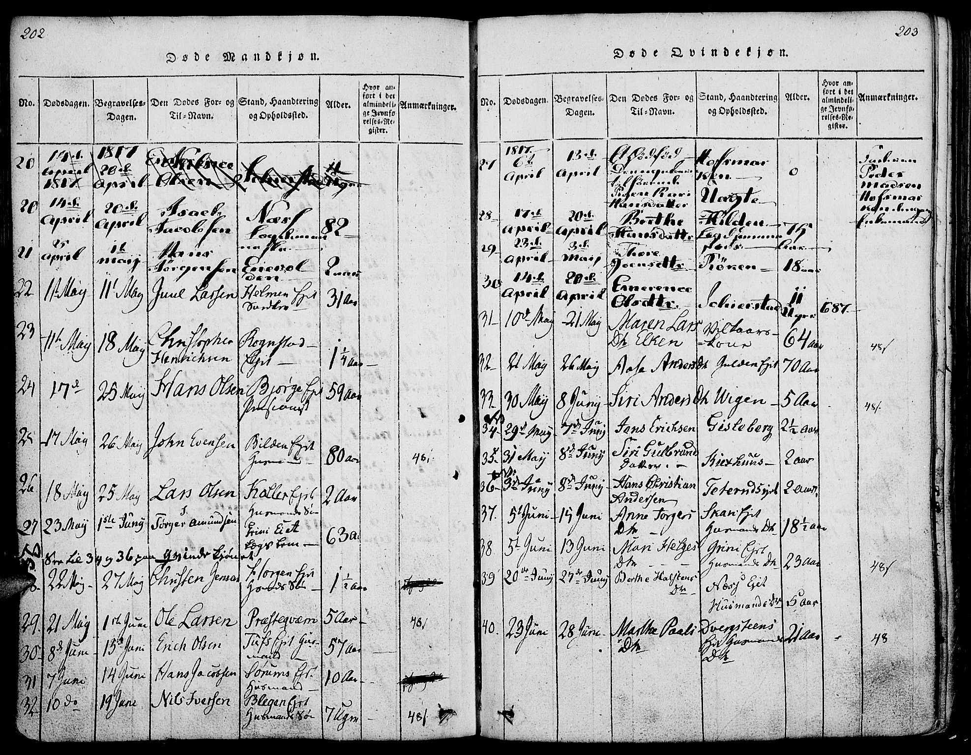 Gran prestekontor, SAH/PREST-112/H/Ha/Haa/L0009: Parish register (official) no. 9, 1815-1824, p. 202-203