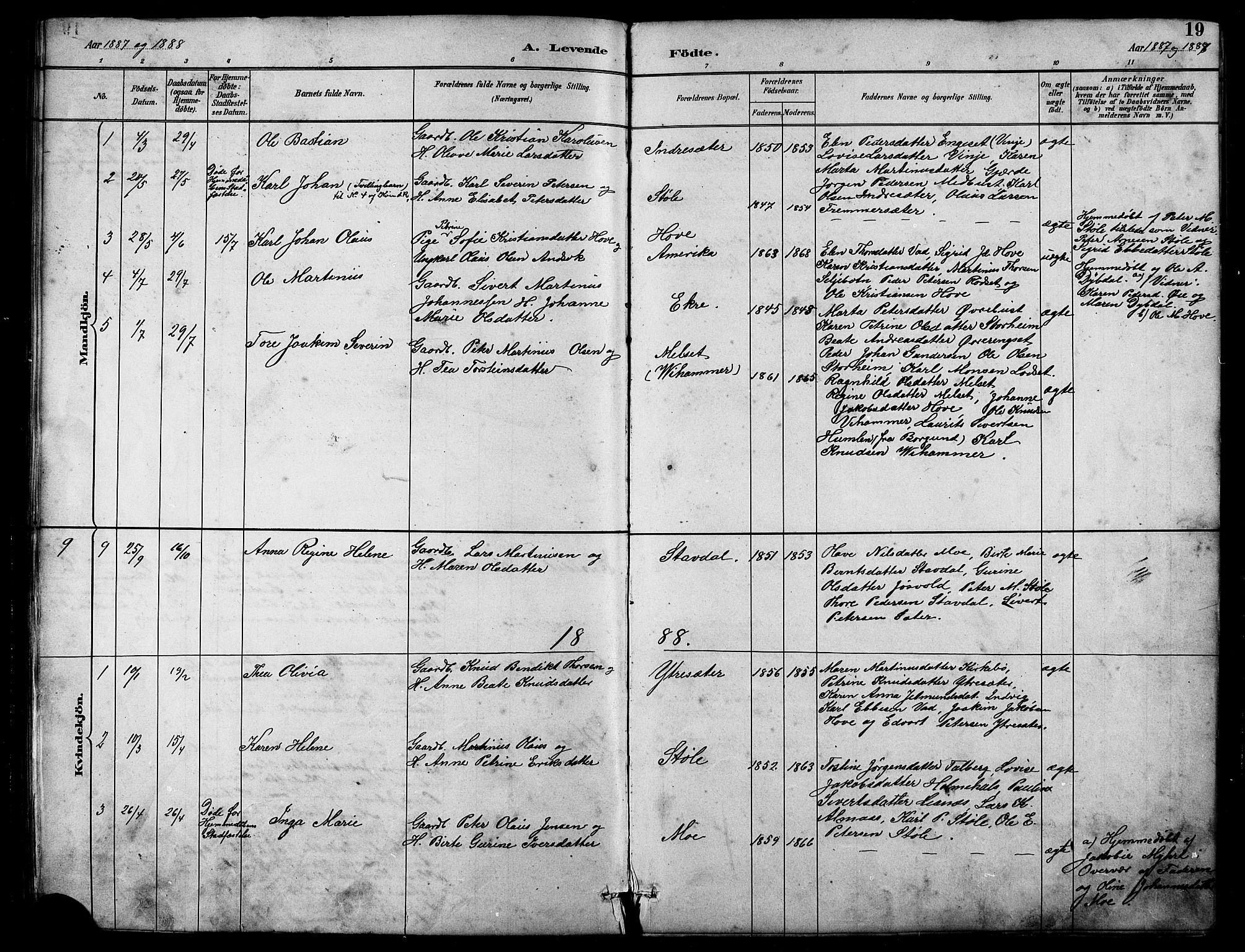 Ministerialprotokoller, klokkerbøker og fødselsregistre - Møre og Romsdal, AV/SAT-A-1454/521/L0302: Parish register (copy) no. 521C03, 1882-1907, p. 19