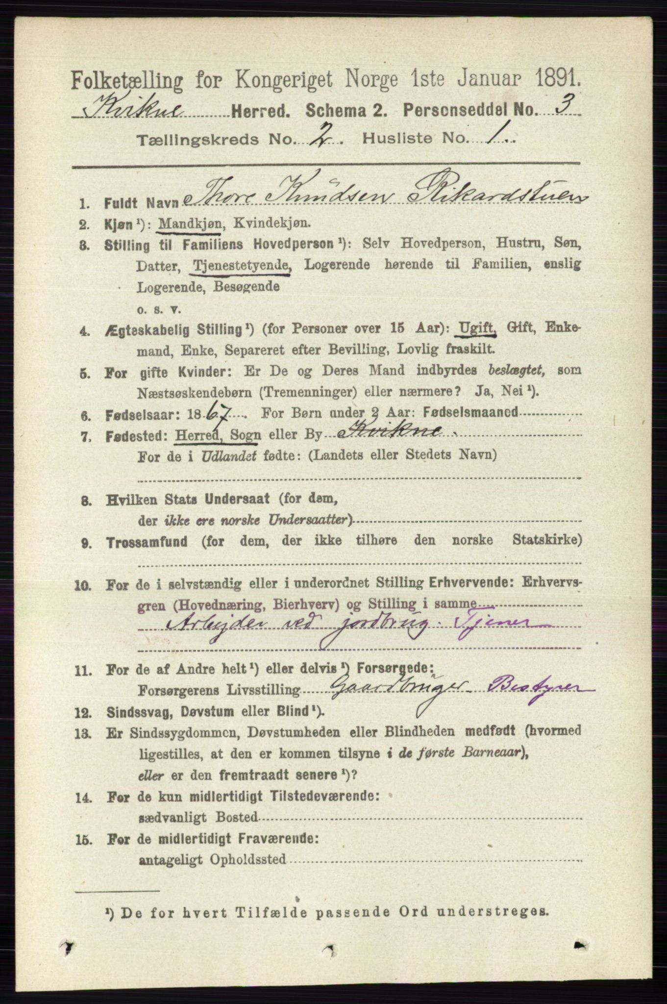 RA, 1891 census for 0440 Kvikne, 1891, p. 301