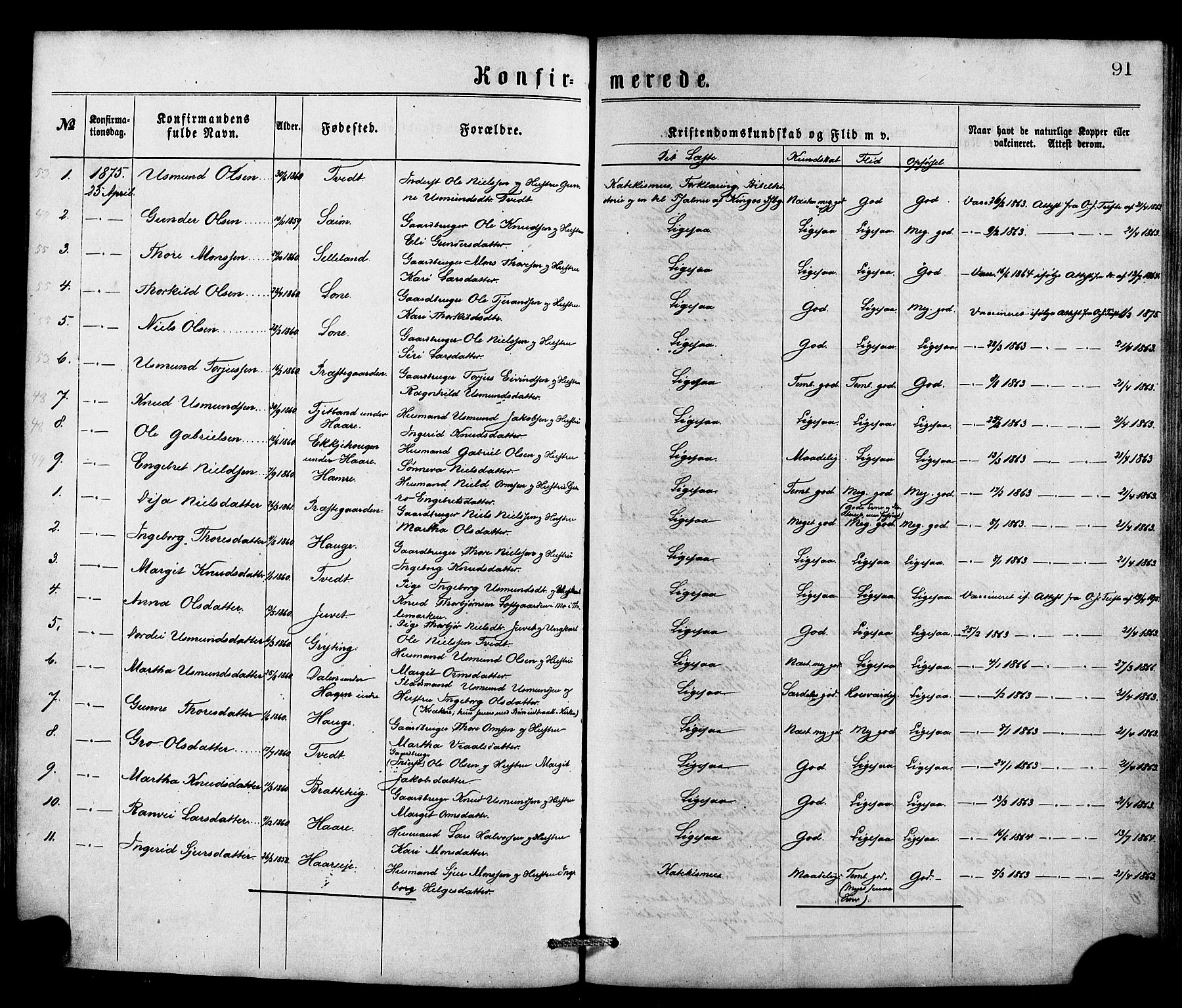 Røldal sokneprestembete, SAB/A-100247: Parish register (official) no. A 4, 1870-1886, p. 91