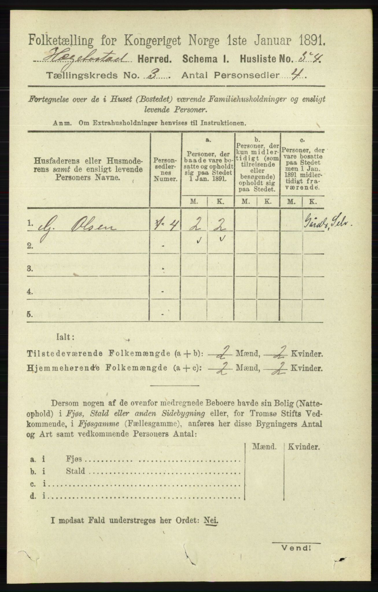 RA, 1891 census for 1034 Hægebostad, 1891, p. 871