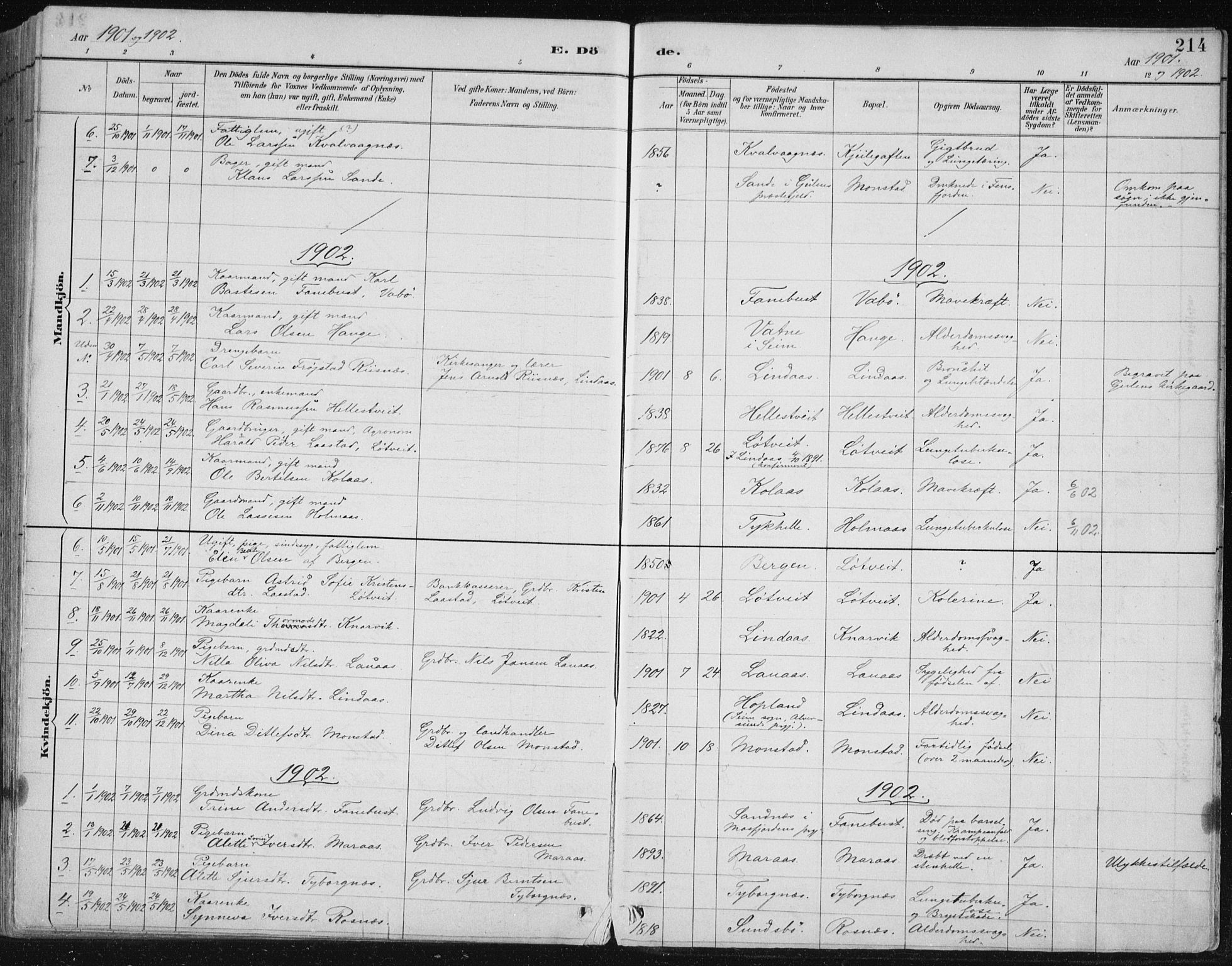 Lindås Sokneprestembete, AV/SAB-A-76701/H/Hab/Habb/L0003: Parish register (copy) no. B 3, 1886-1914, p. 214