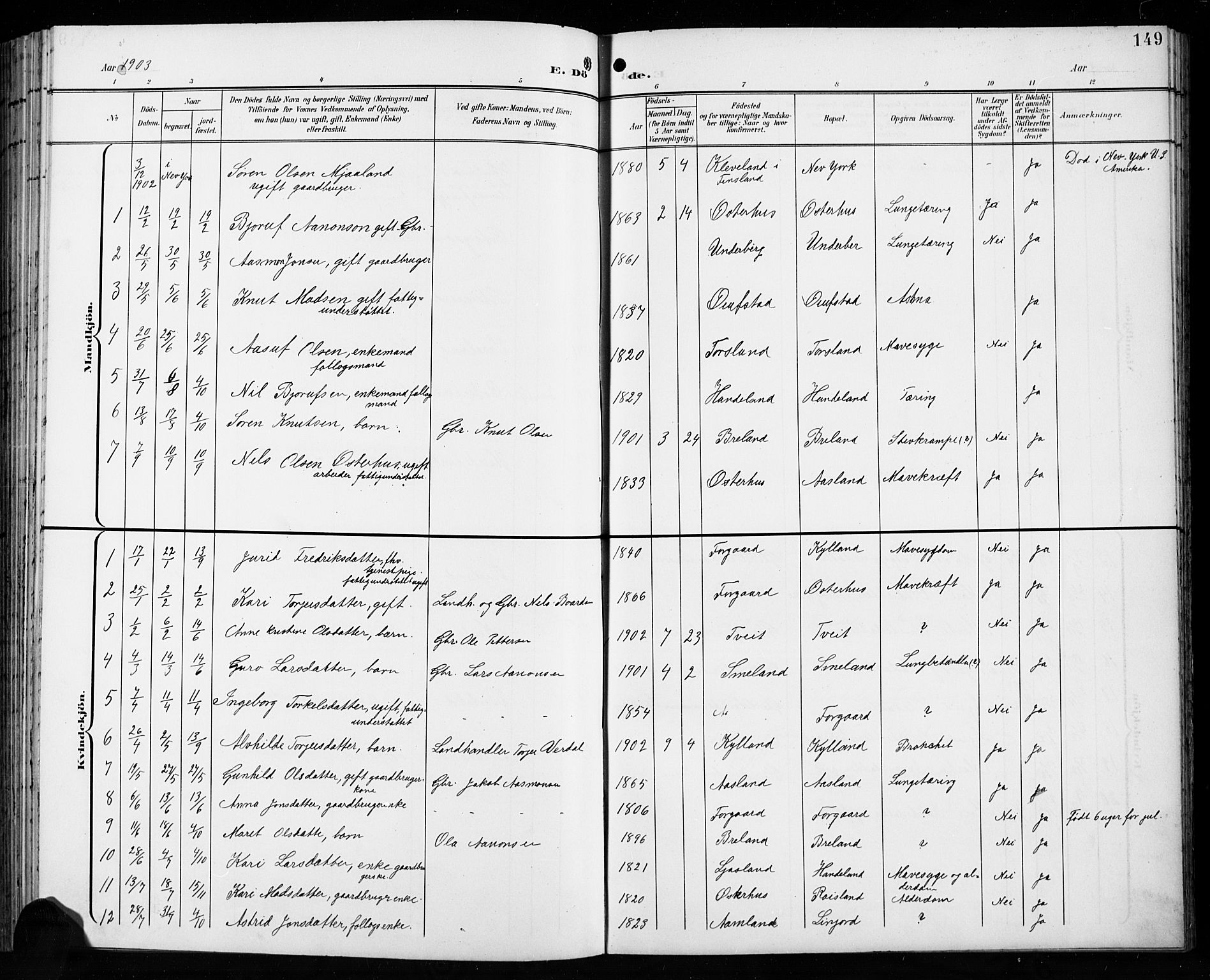 Åseral sokneprestkontor, AV/SAK-1111-0051/F/Fb/L0003: Parish register (copy) no. B 3, 1900-1919, p. 149