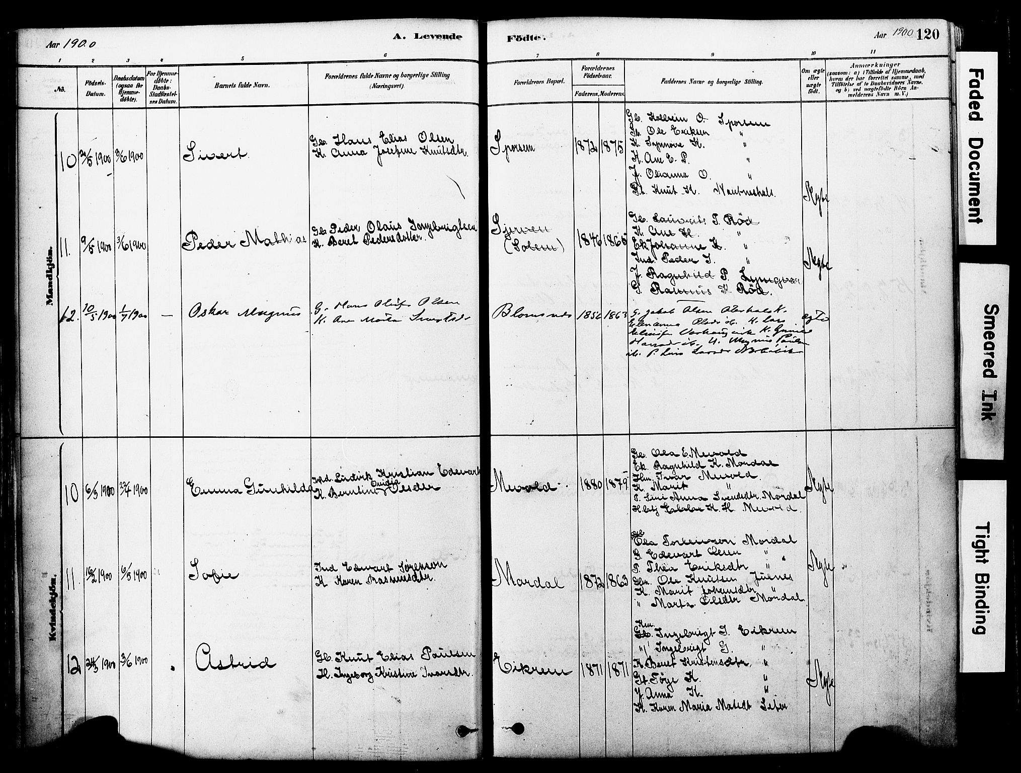 Ministerialprotokoller, klokkerbøker og fødselsregistre - Møre og Romsdal, AV/SAT-A-1454/560/L0721: Parish register (official) no. 560A05, 1878-1917, p. 120