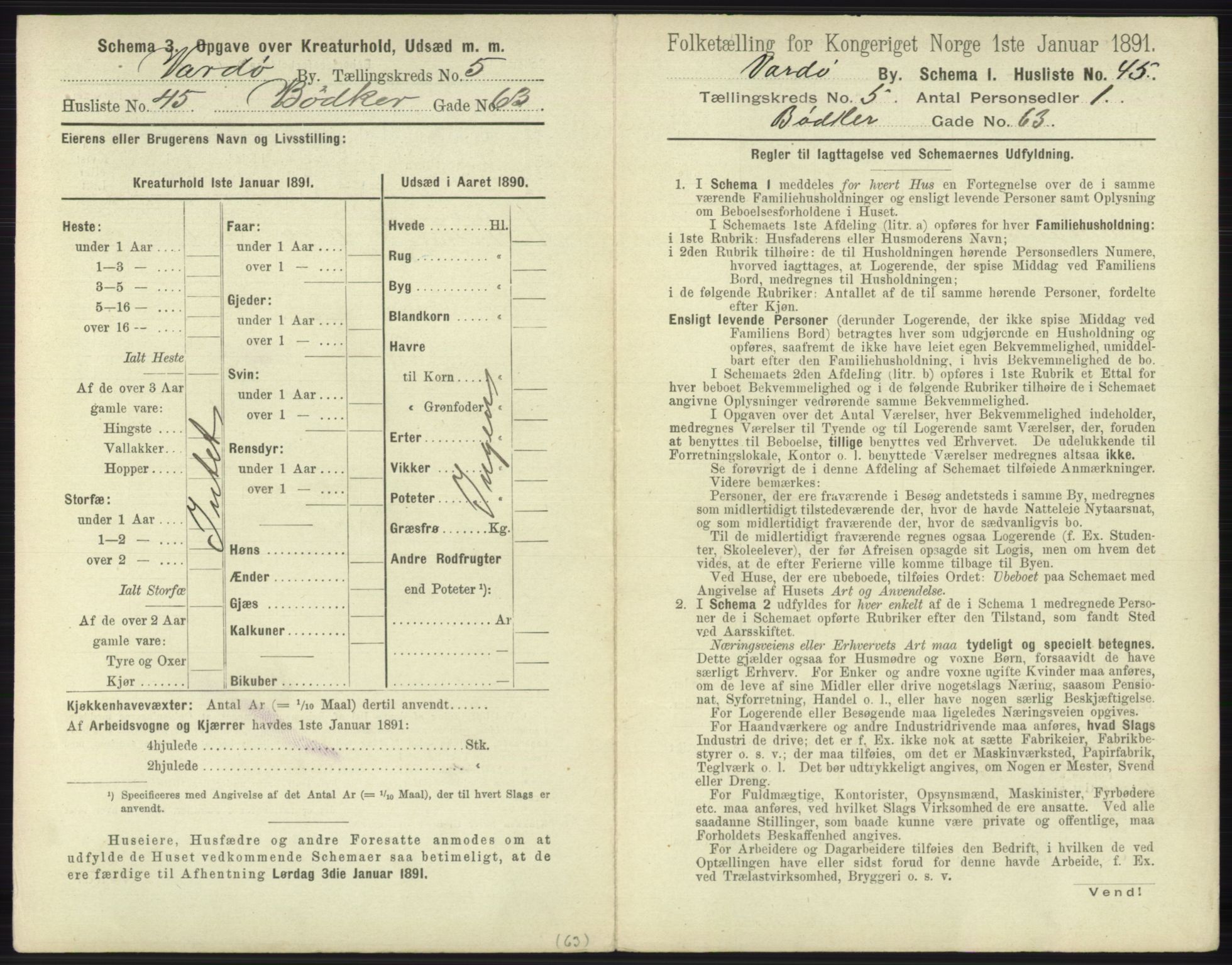 RA, 1891 census for 2002 Vardø, 1891, p. 2316