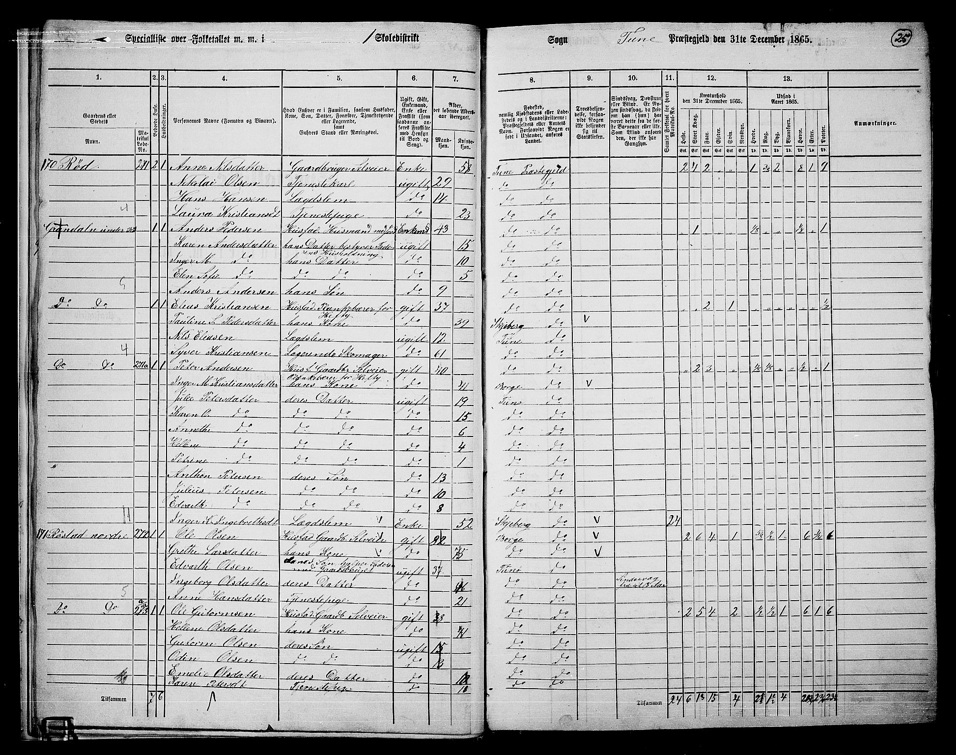 RA, 1865 census for Tune, 1865, p. 22