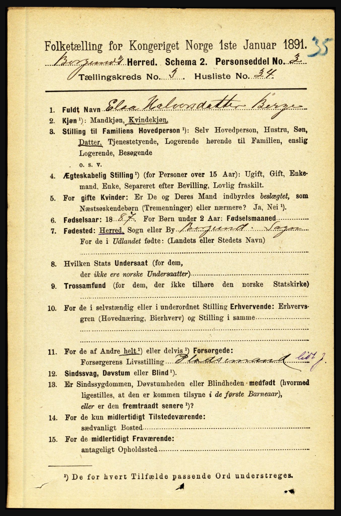 RA, 1891 census for 1423 Borgund, 1891, p. 784