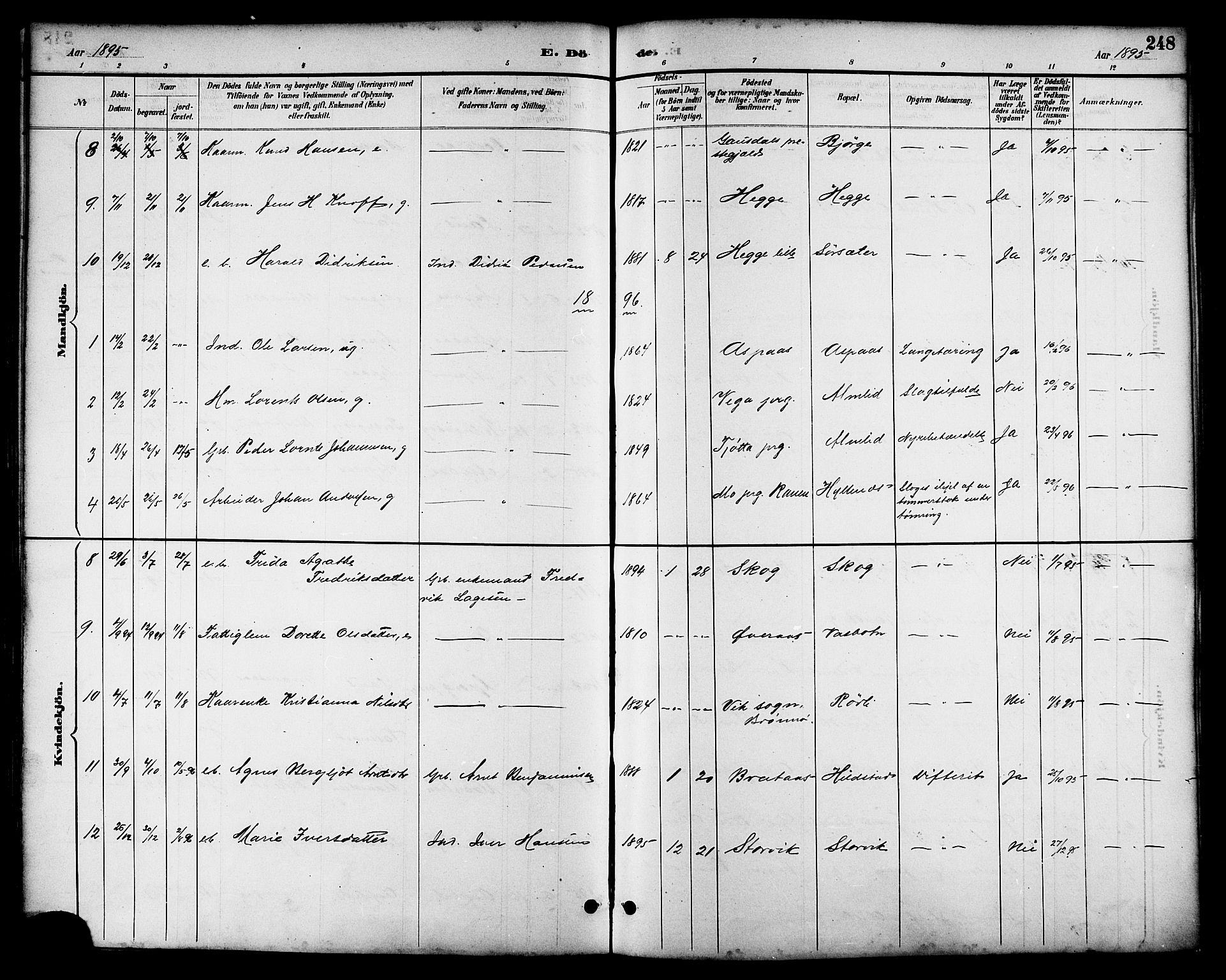 Ministerialprotokoller, klokkerbøker og fødselsregistre - Nordland, AV/SAT-A-1459/814/L0230: Parish register (copy) no. 814C03, 1884-1911, p. 248