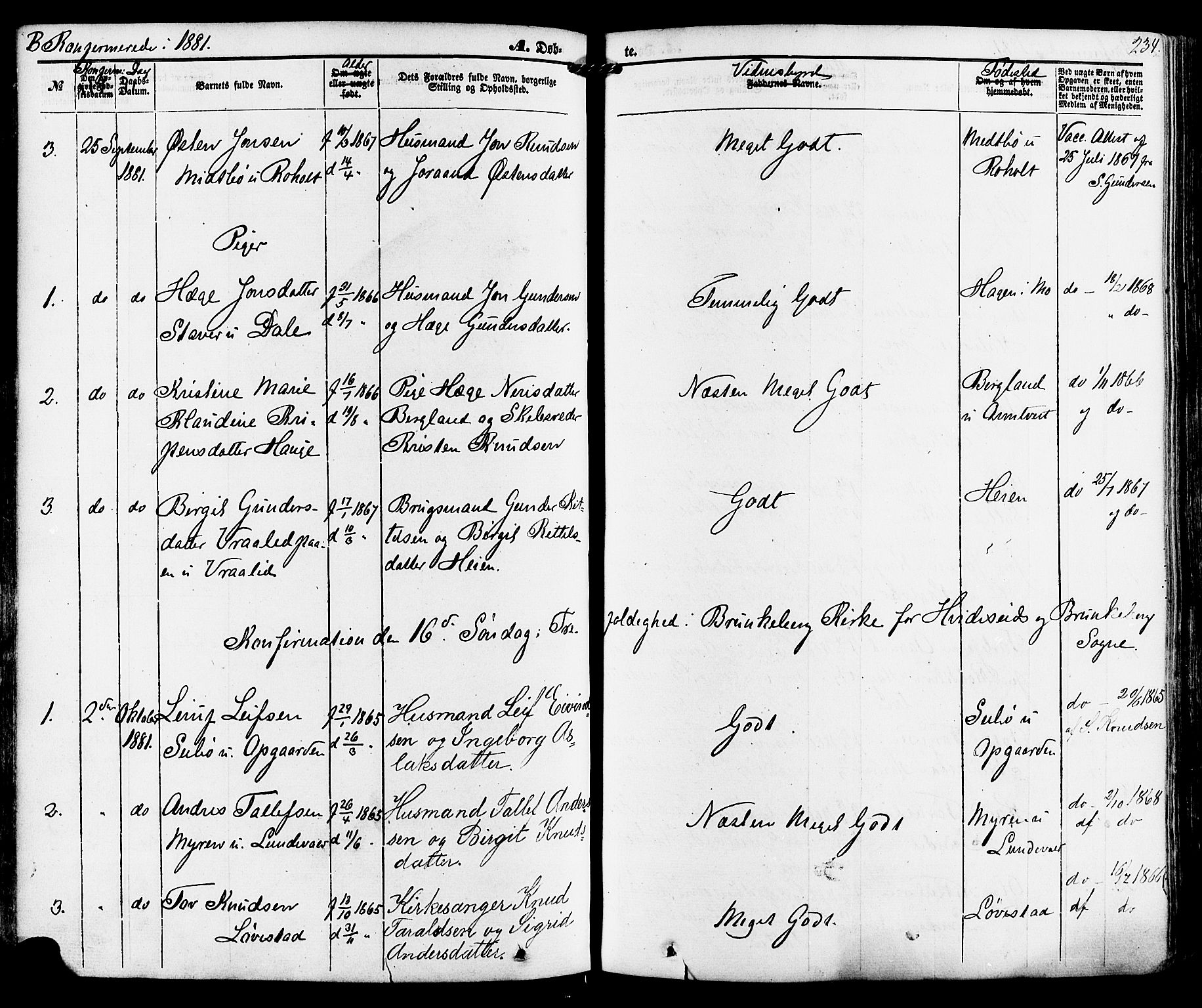 Kviteseid kirkebøker, SAKO/A-276/F/Fa/L0007: Parish register (official) no. I 7, 1859-1881, p. 234