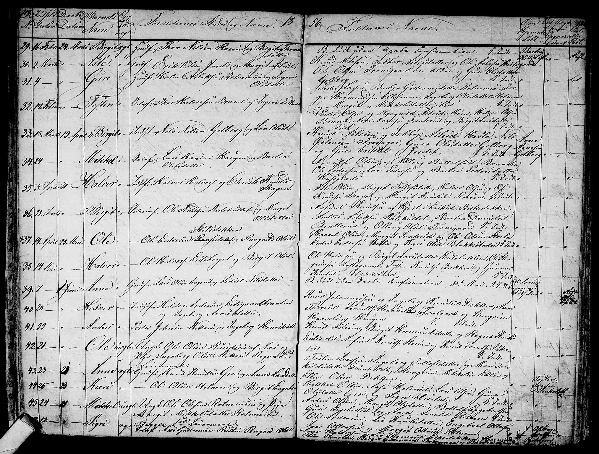 Gol kirkebøker, SAKO/A-226/G/Ga/L0001: Parish register (copy) no. I 1, 1841-1860, p. 119-120