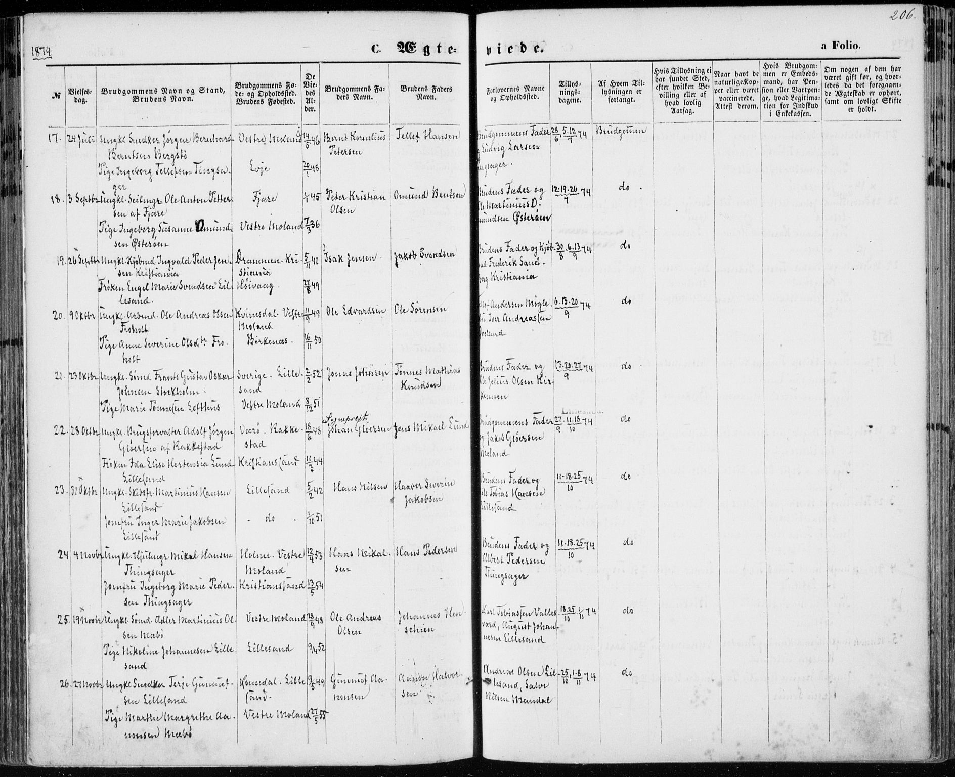 Vestre Moland sokneprestkontor, SAK/1111-0046/F/Fa/Fab/L0008: Parish register (official) no. A 8, 1873-1883, p. 206