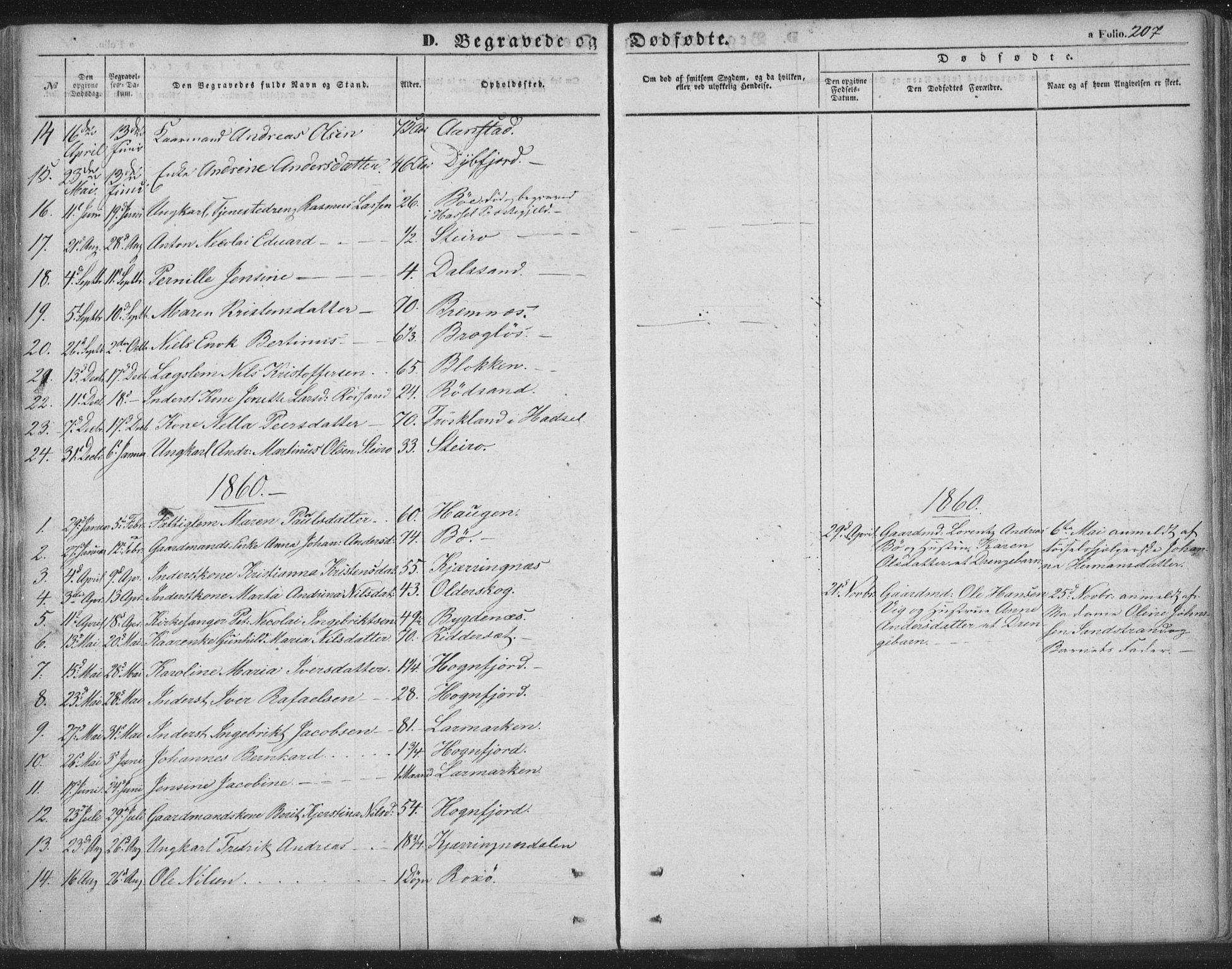 Ministerialprotokoller, klokkerbøker og fødselsregistre - Nordland, AV/SAT-A-1459/895/L1369: Parish register (official) no. 895A04, 1852-1872, p. 207