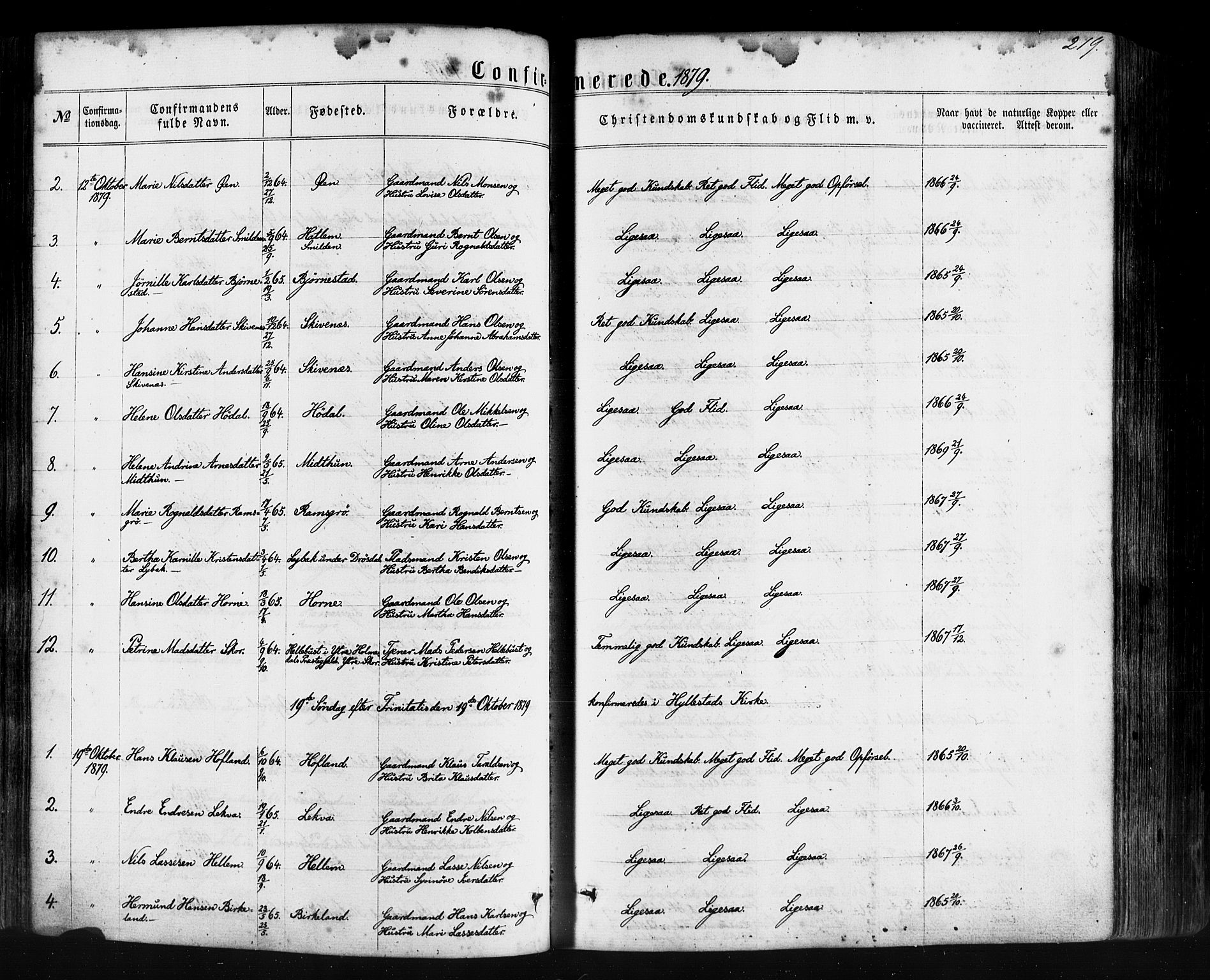 Hyllestad sokneprestembete, SAB/A-80401: Parish register (official) no. A 1, 1861-1886, p. 219