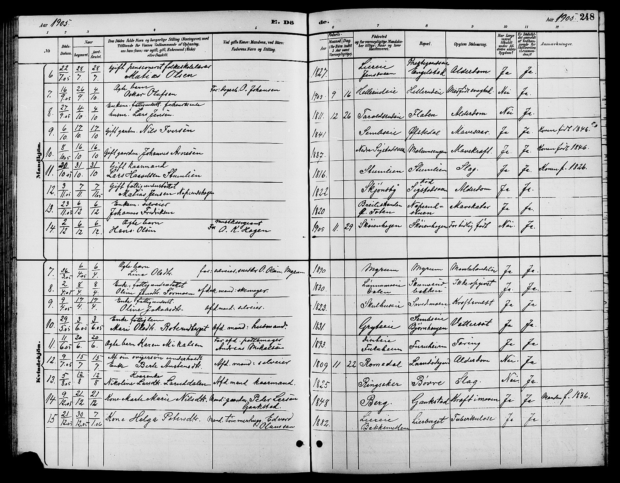 Biri prestekontor, SAH/PREST-096/H/Ha/Hab/L0004: Parish register (copy) no. 4, 1892-1909, p. 248