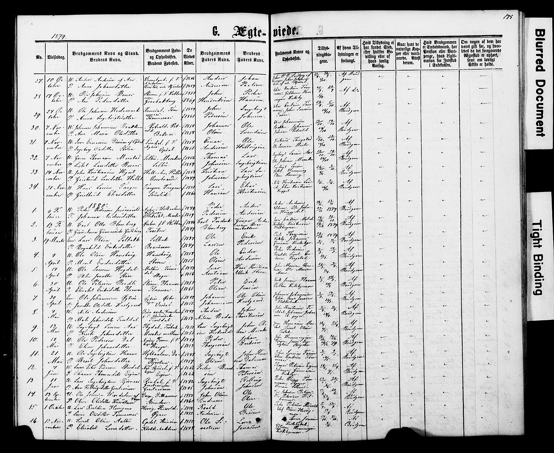 Ministerialprotokoller, klokkerbøker og fødselsregistre - Nord-Trøndelag, SAT/A-1458/706/L0049: Parish register (copy) no. 706C01, 1864-1895, p. 175