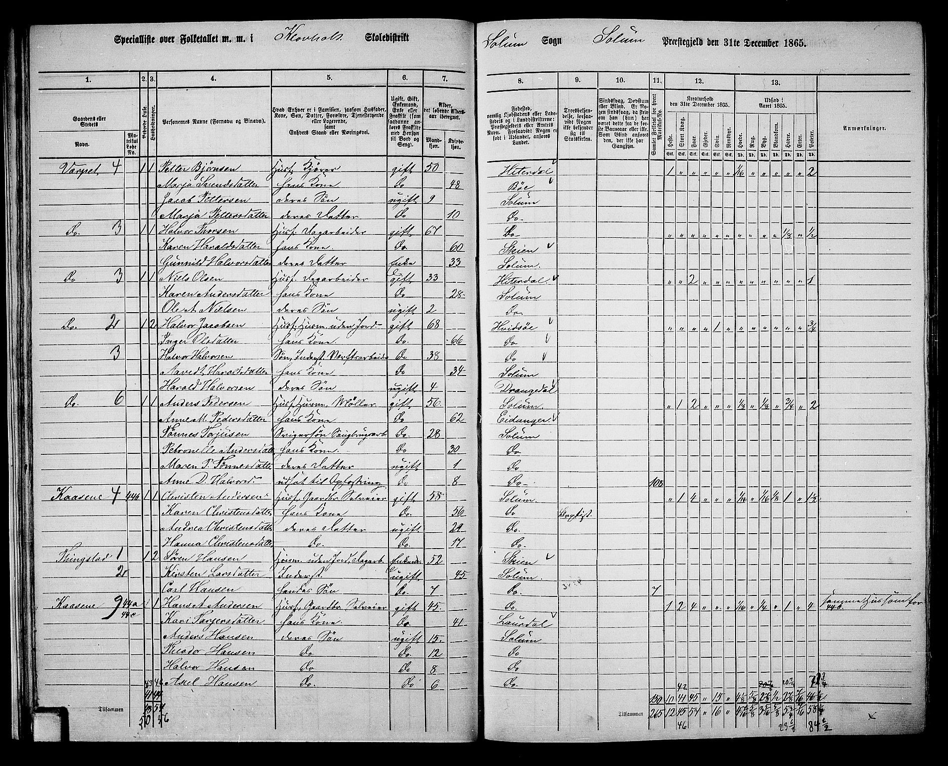 RA, 1865 census for Solum, 1865, p. 37