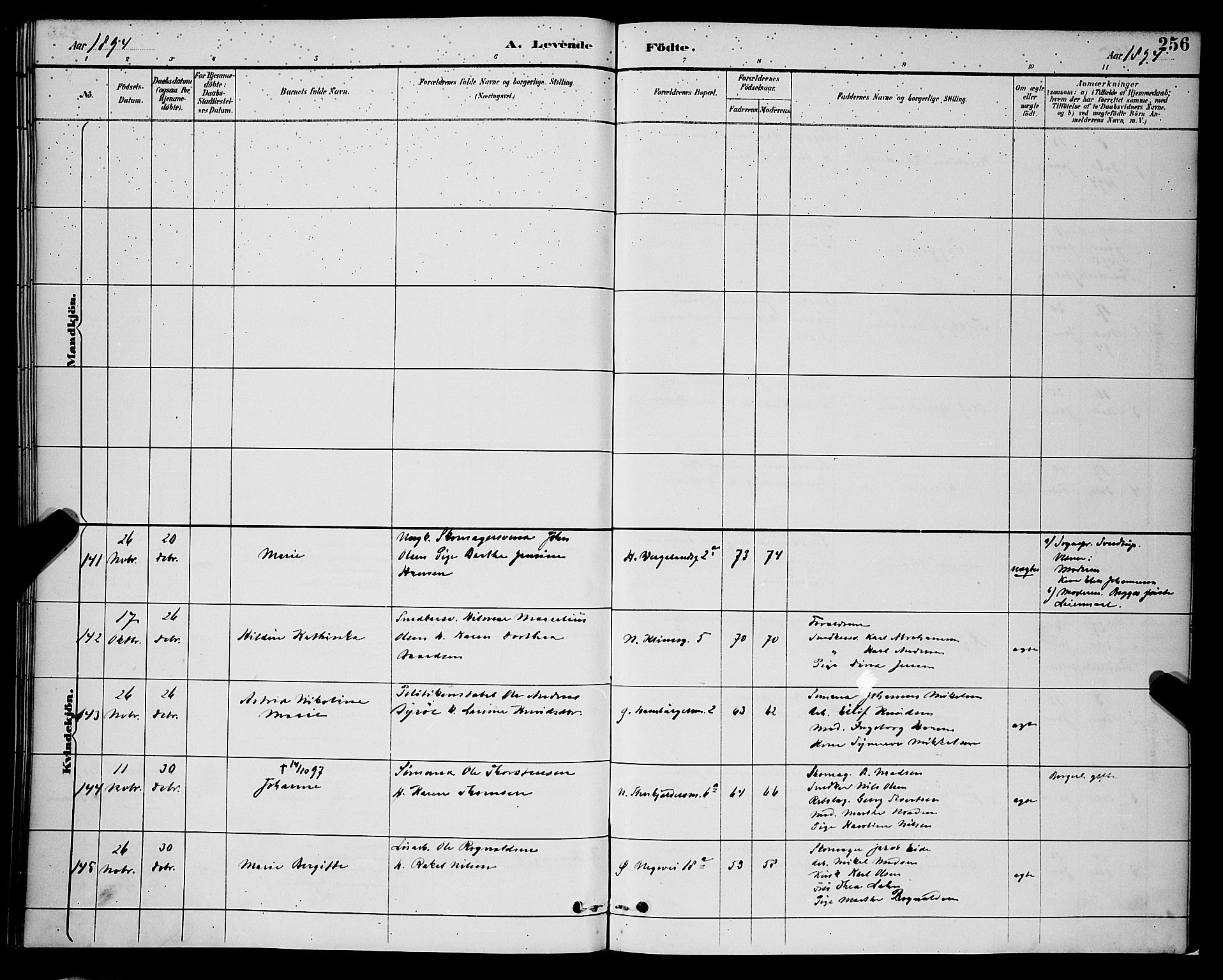 Korskirken sokneprestembete, SAB/A-76101/H/Hab: Parish register (copy) no. B 9, 1887-1896, p. 256