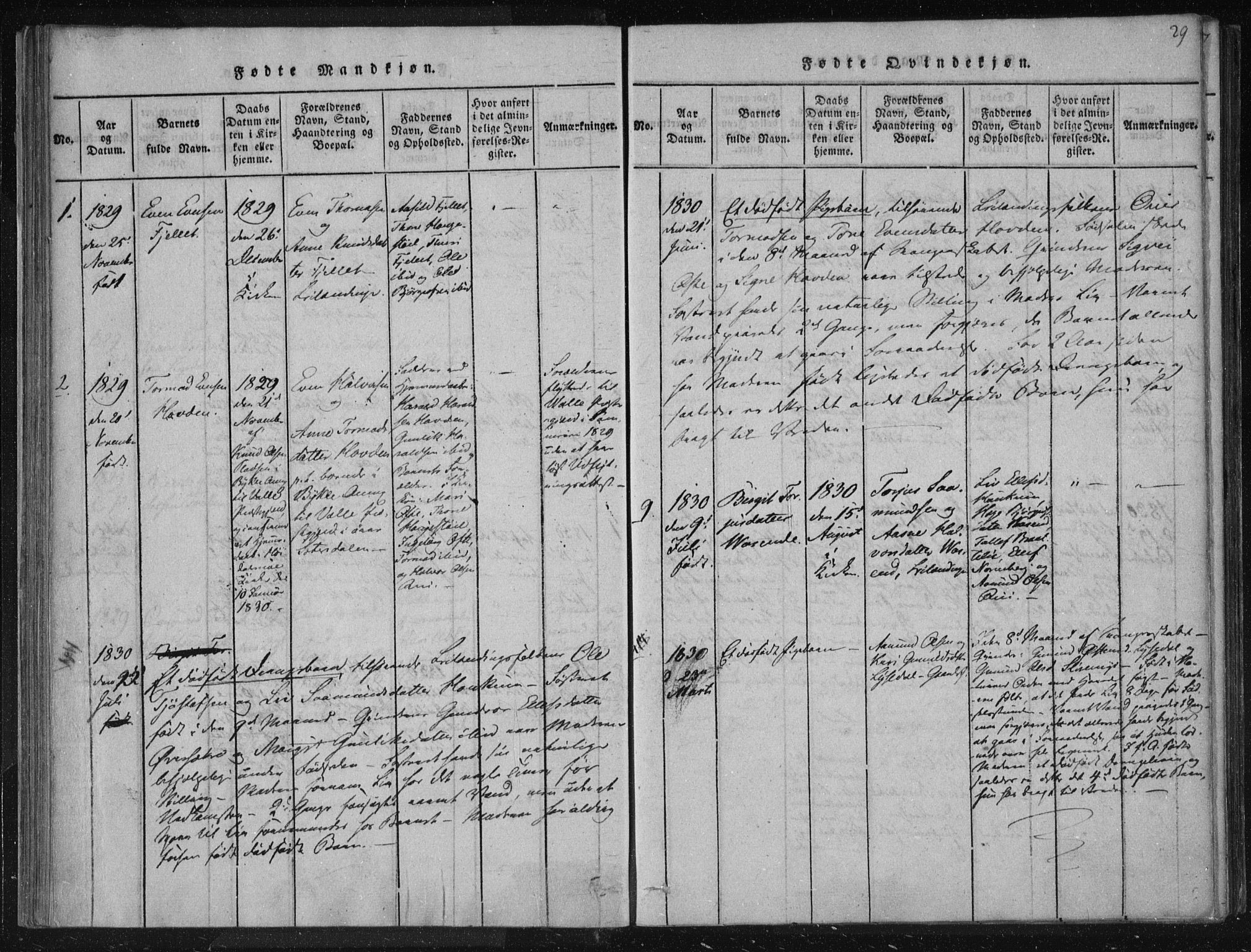 Lårdal kirkebøker, SAKO/A-284/F/Fc/L0001: Parish register (official) no. III 1, 1815-1860, p. 29