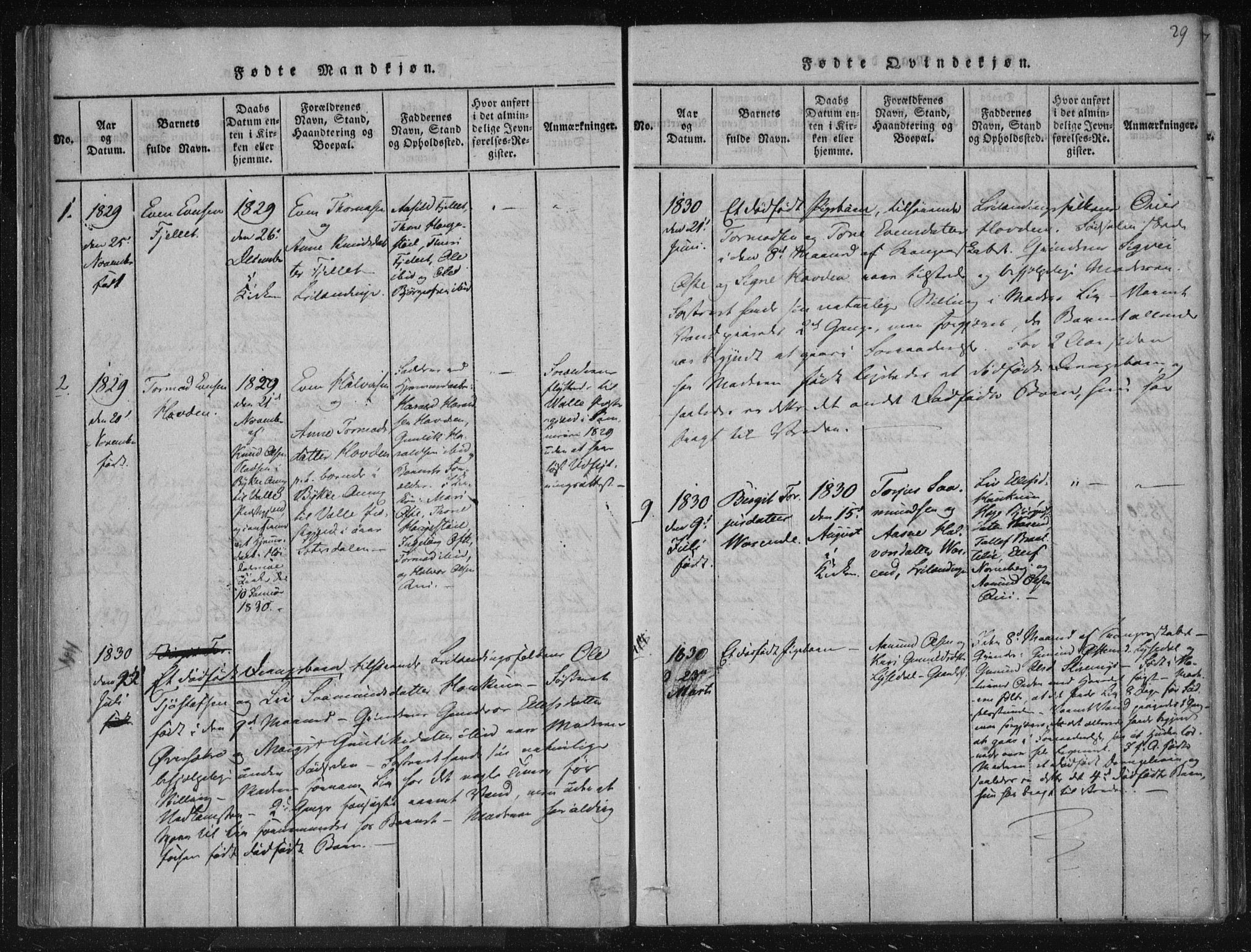 Lårdal kirkebøker, AV/SAKO-A-284/F/Fc/L0001: Parish register (official) no. III 1, 1815-1860, p. 29