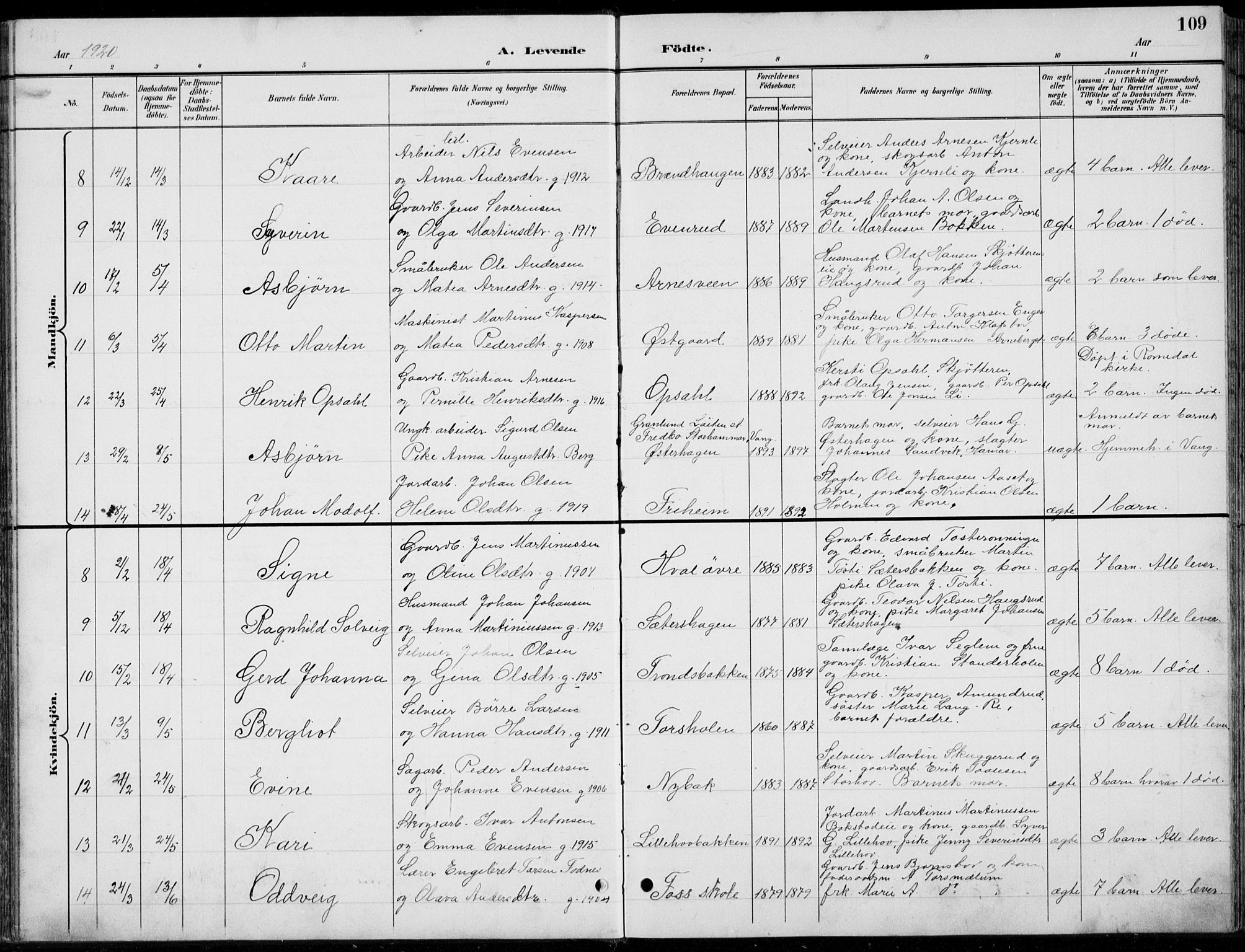 Romedal prestekontor, AV/SAH-PREST-004/L/L0013: Parish register (copy) no. 13, 1896-1937, p. 109